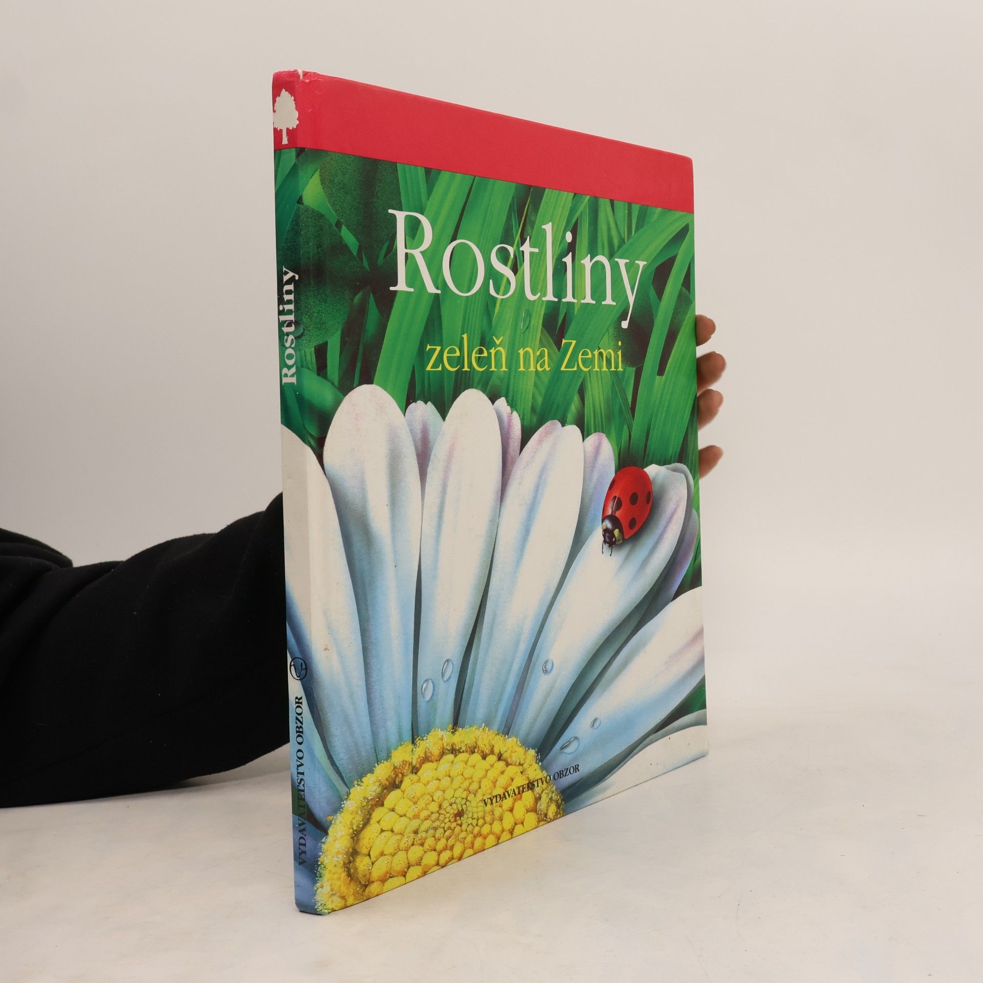Lucia Benedittiová Rostliny. Zeleň na zemi