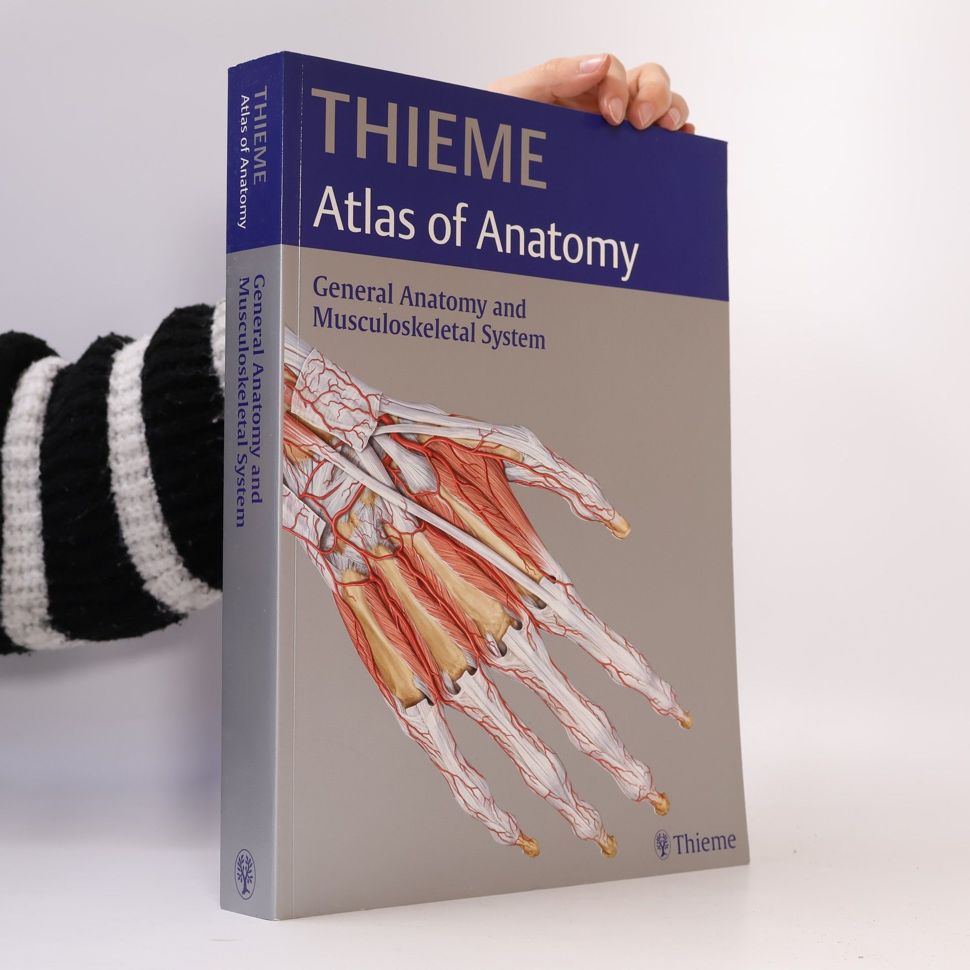 Autorenkollektiv Thieme atlas of anatomy
