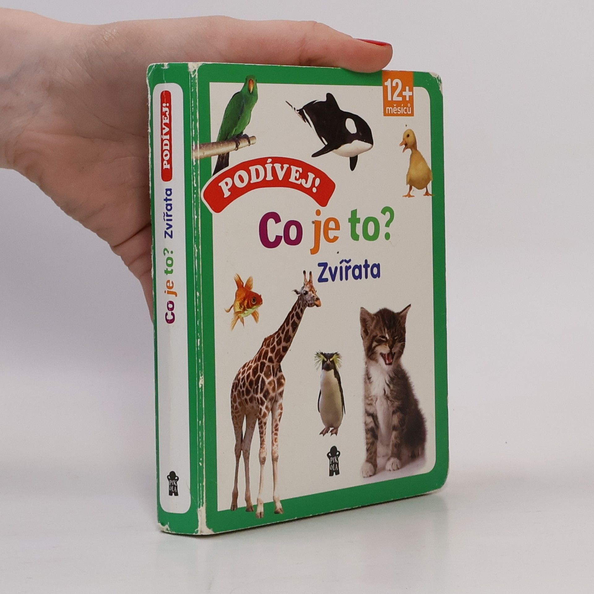 Kolektiv autorů Podívej! Co je to?. Zvířata Zvířata