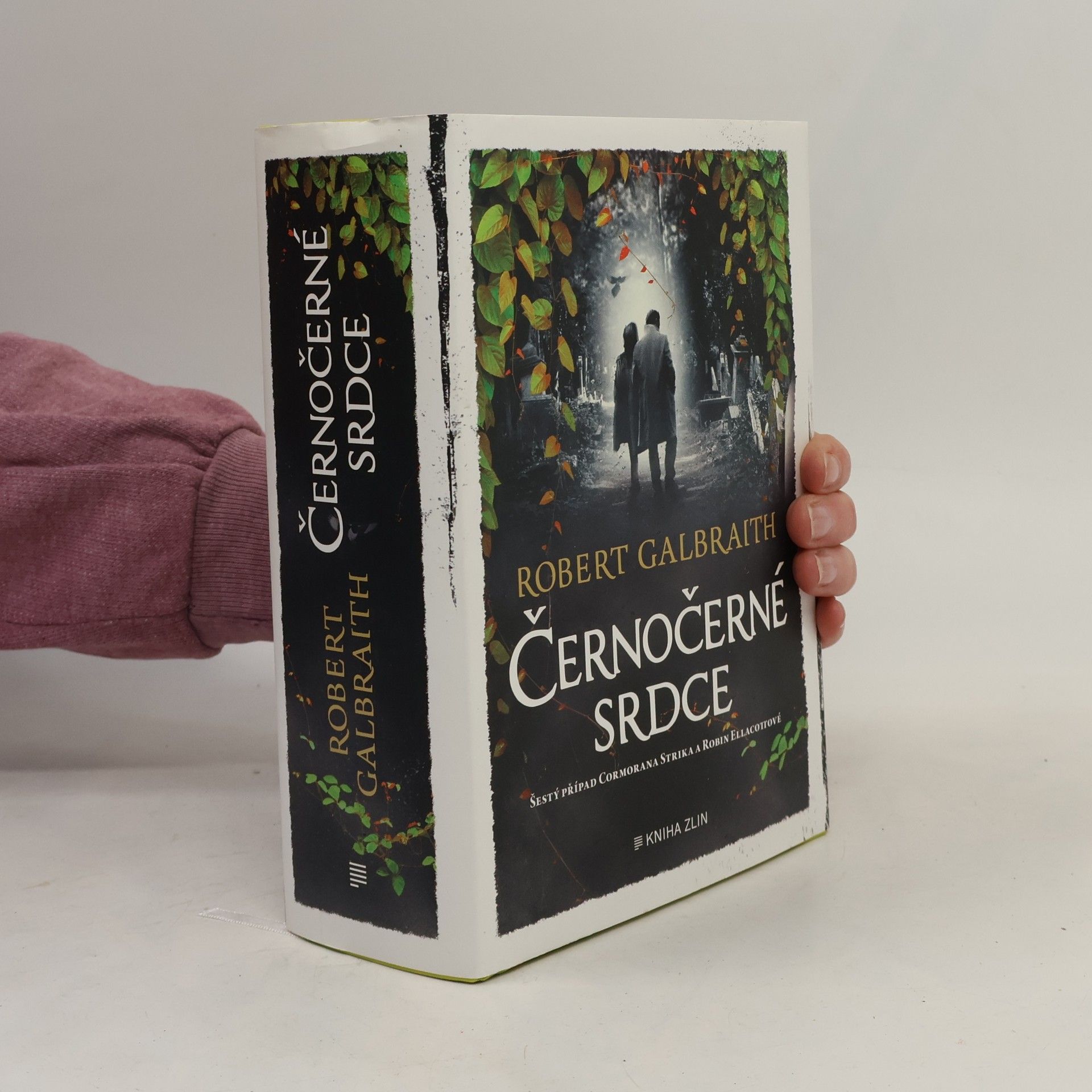 Robert Galbraith Černočerné srdce