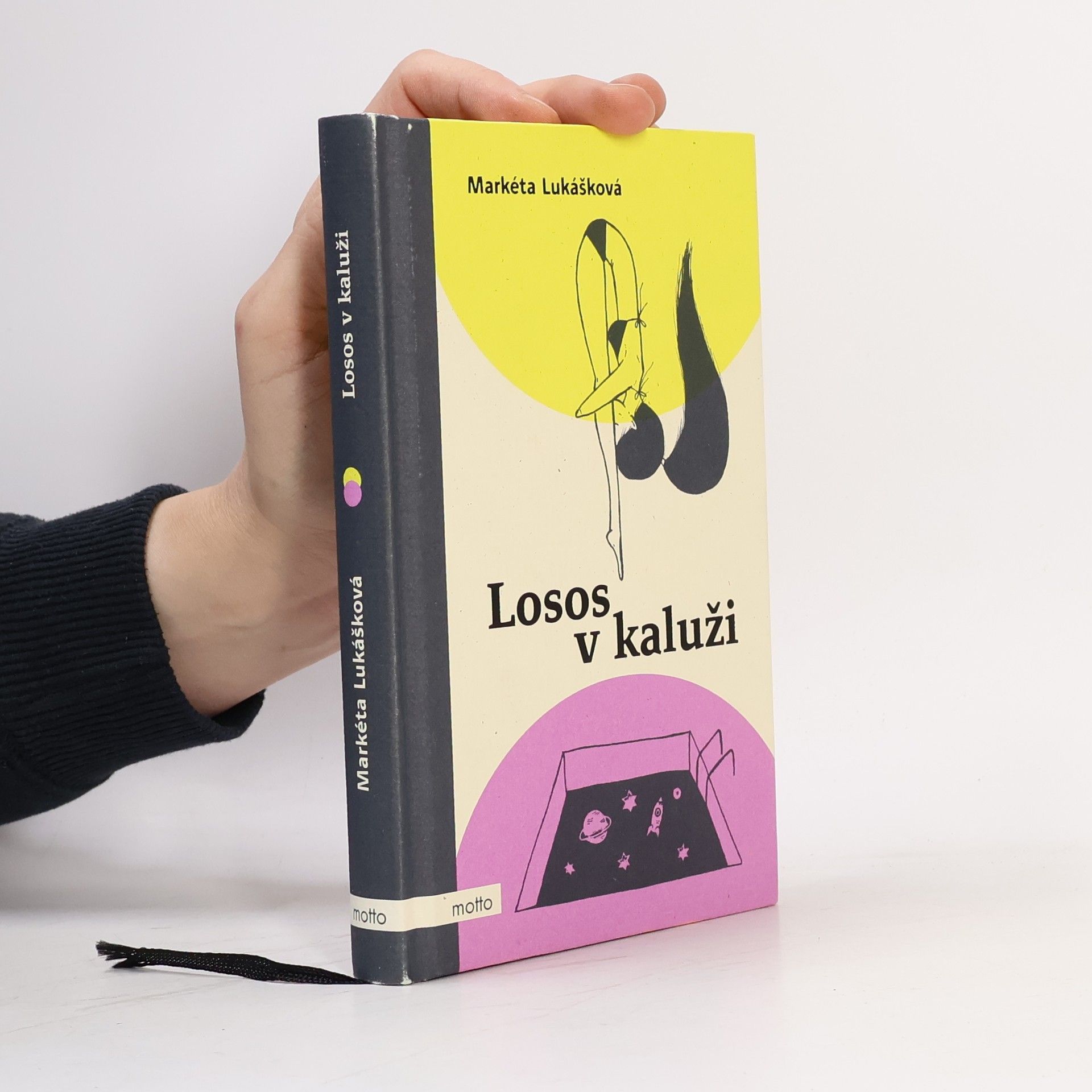 Markéta Lukášková Losos v kaluži