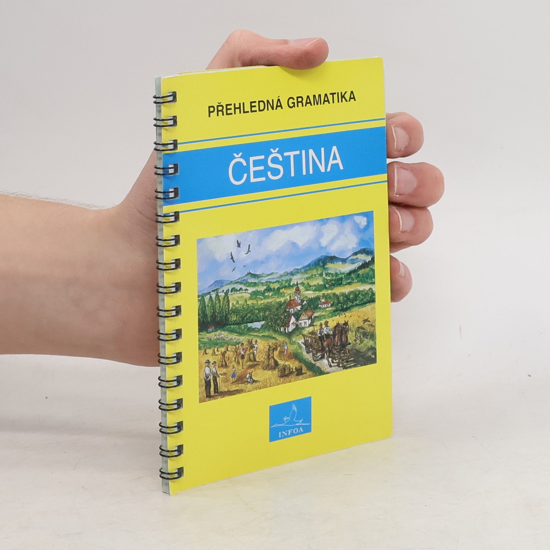 Martina Sobotíková Čeština. Přehledná gramatika