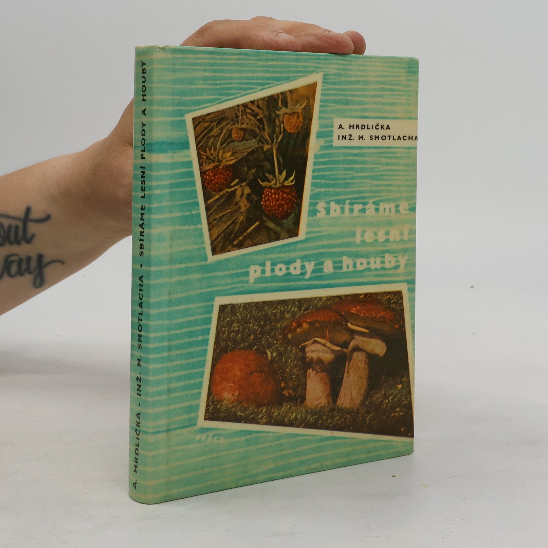 Antonín Hrdlička Sbíráme lesní plody a houby