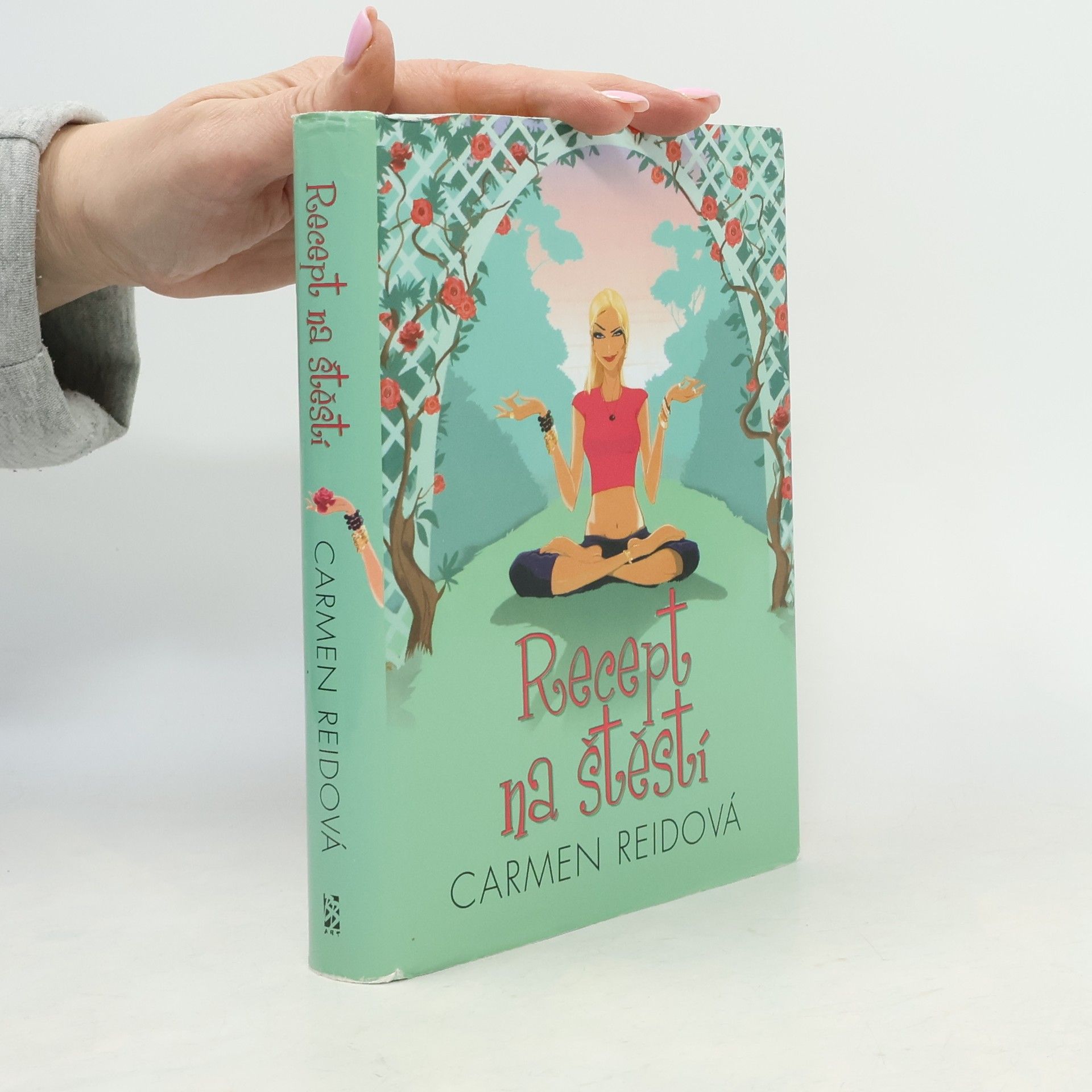Carmen Reid Recept na štěstí