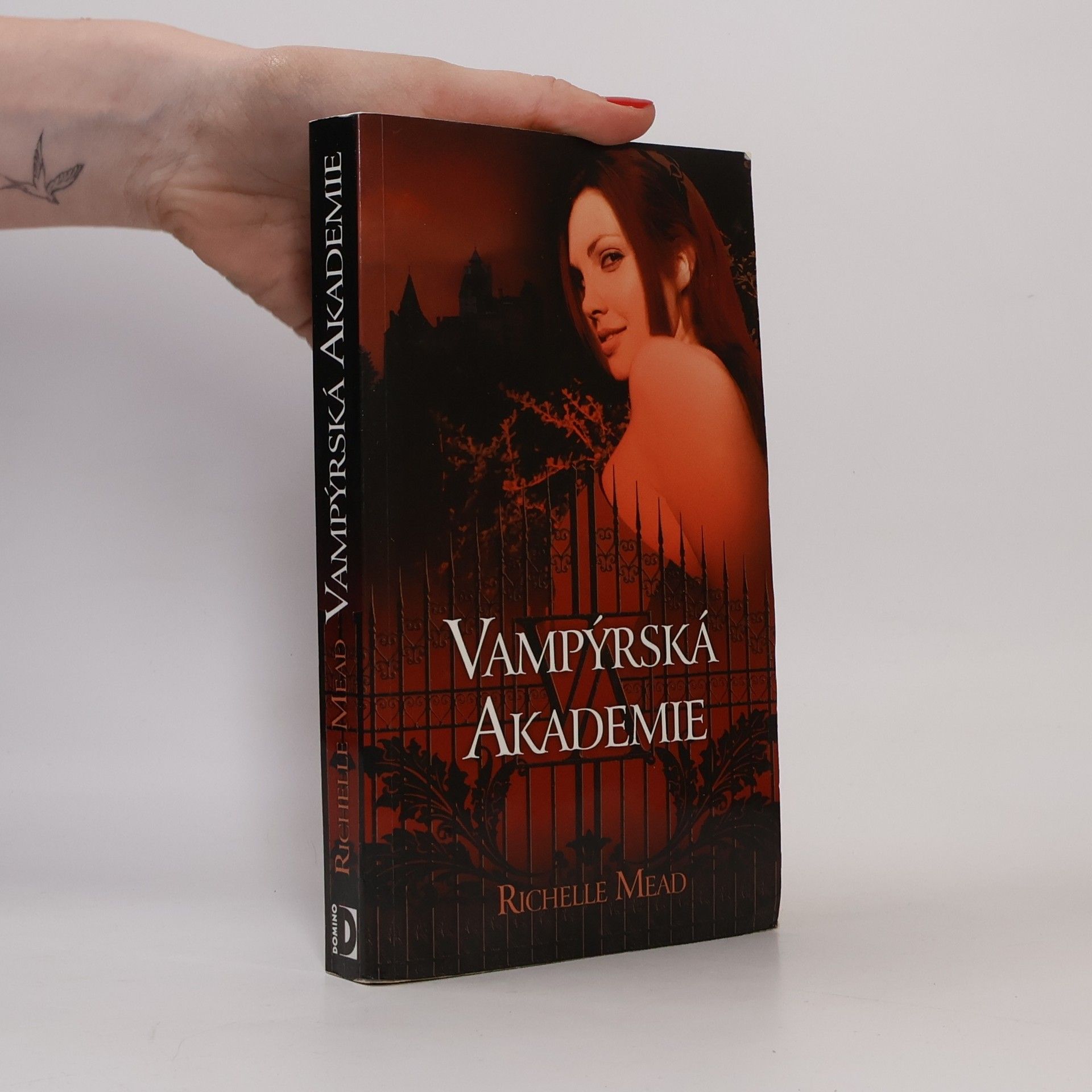 Richelle Mead Vampýrská akademie