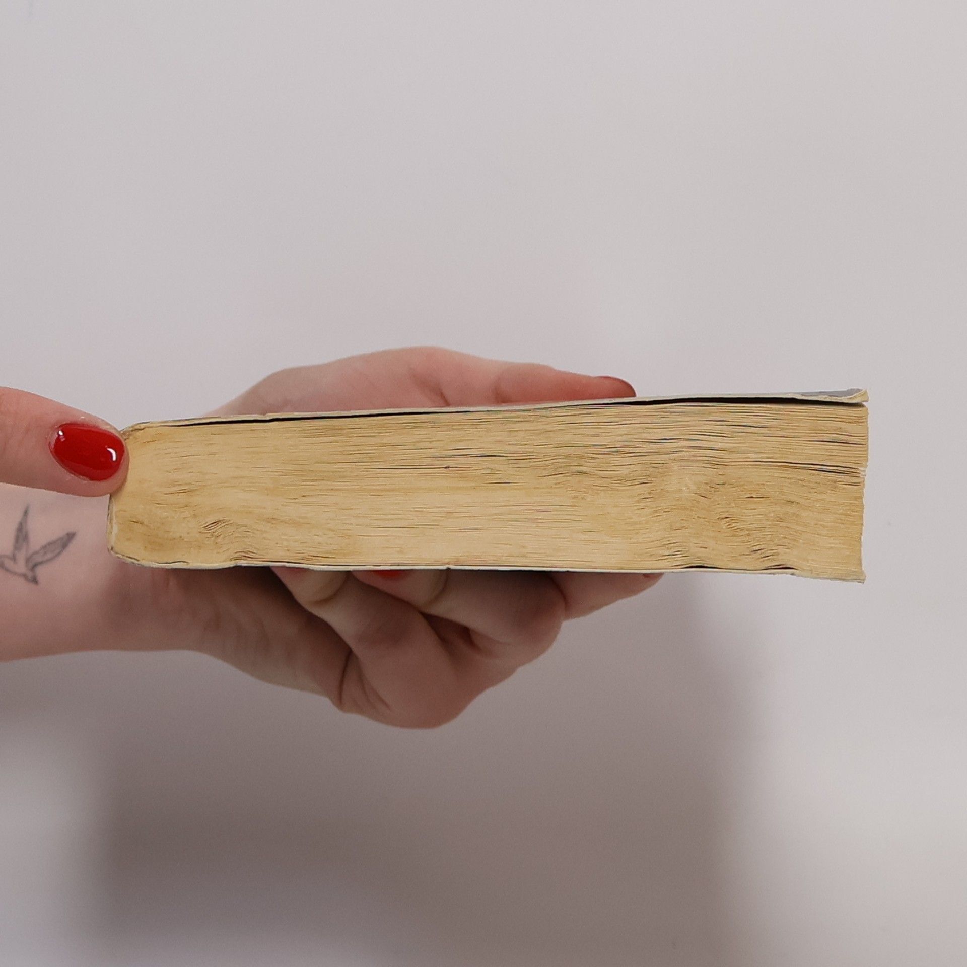 Richelle Mead Vampýrská akademie