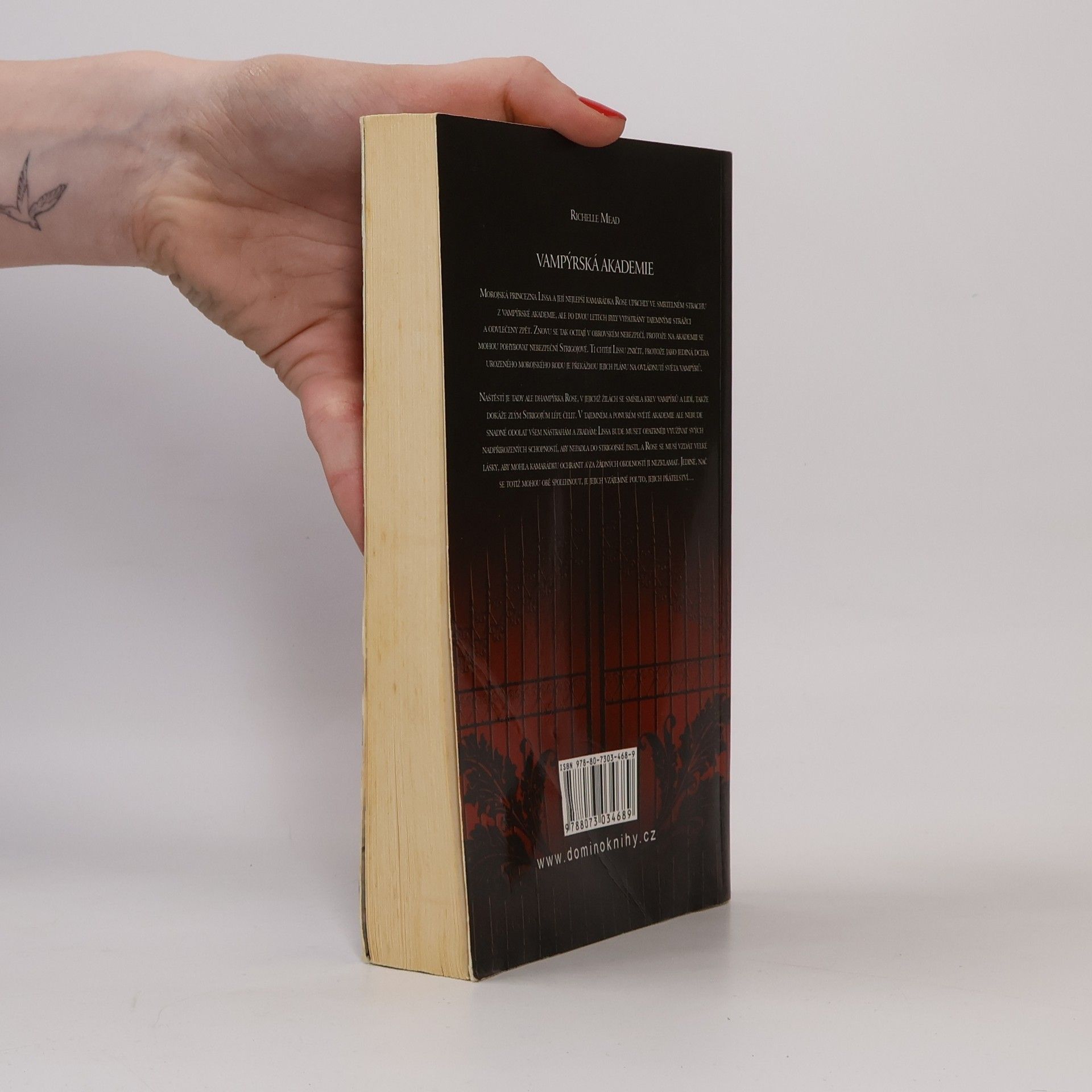 Richelle Mead Vampýrská akademie