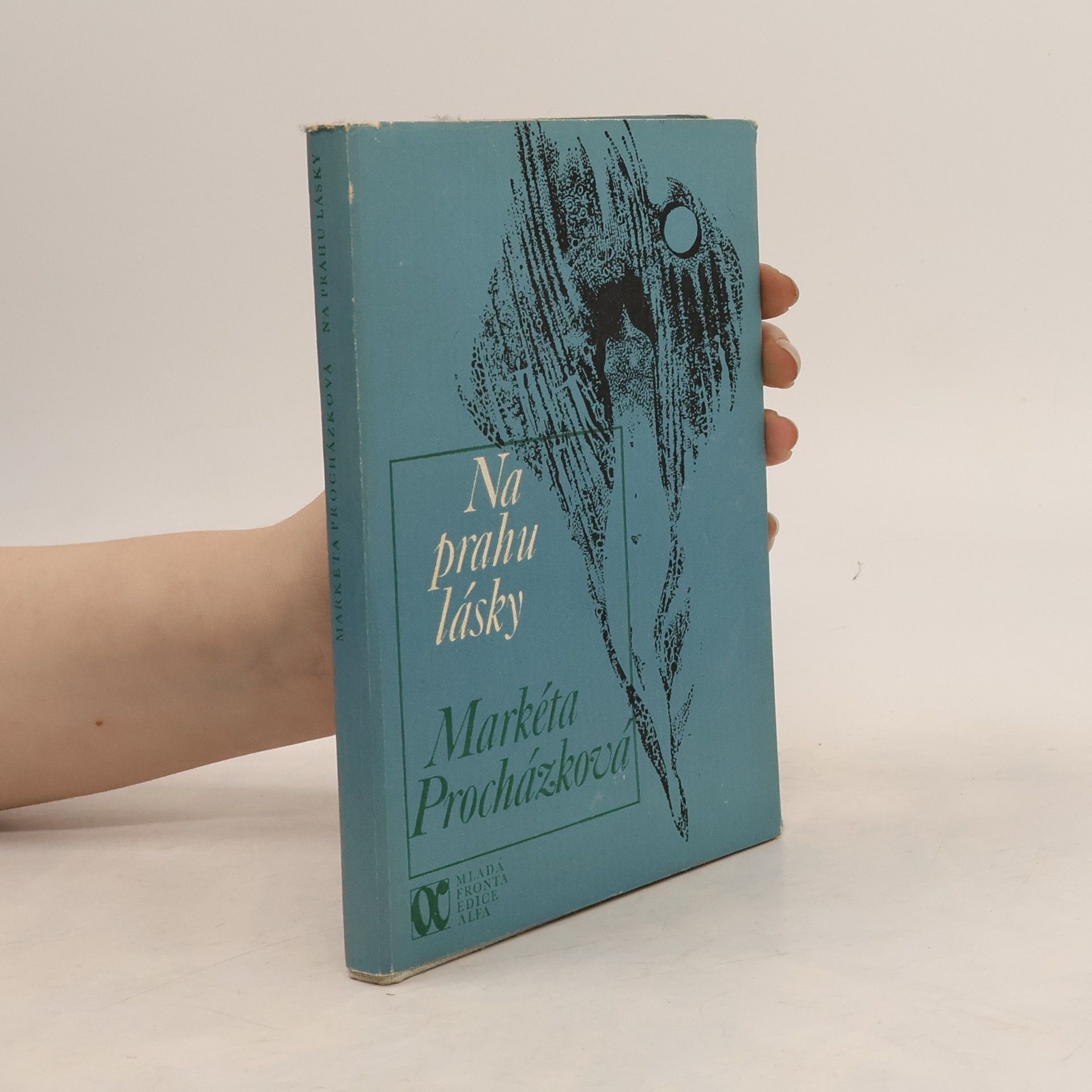 Markéta Procházková Na prahu lásky