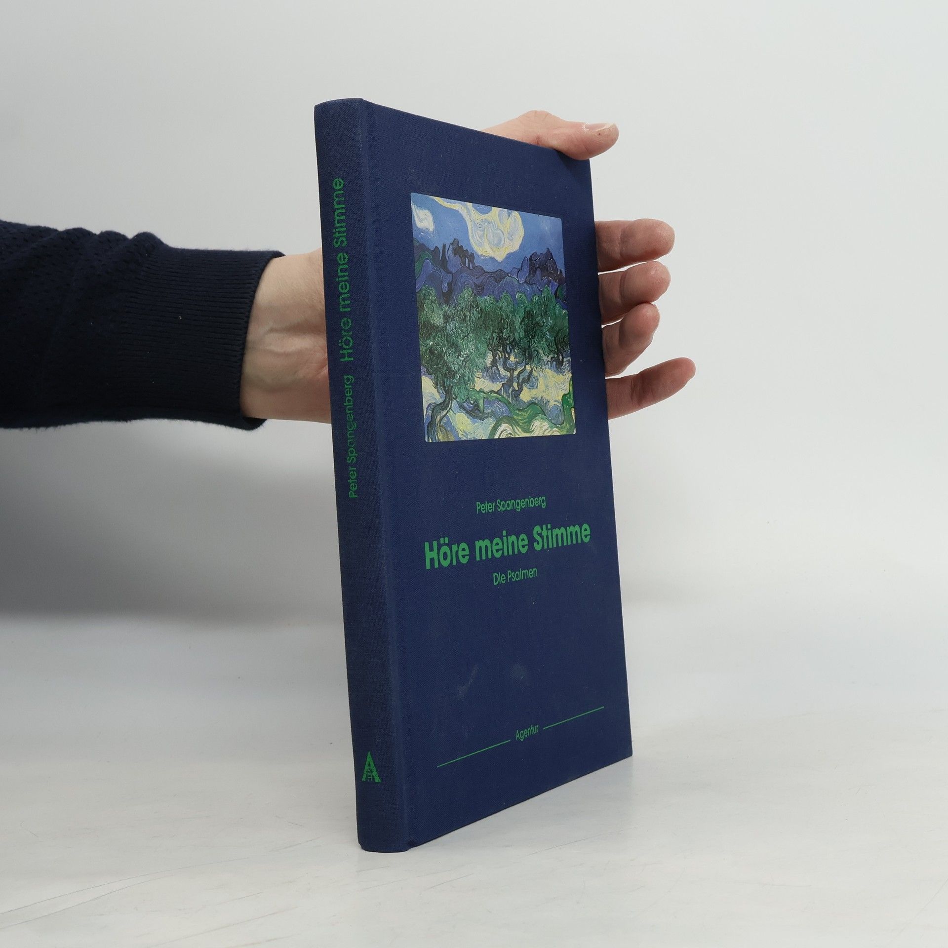 Peter Spangenberg Höre meine Stimme