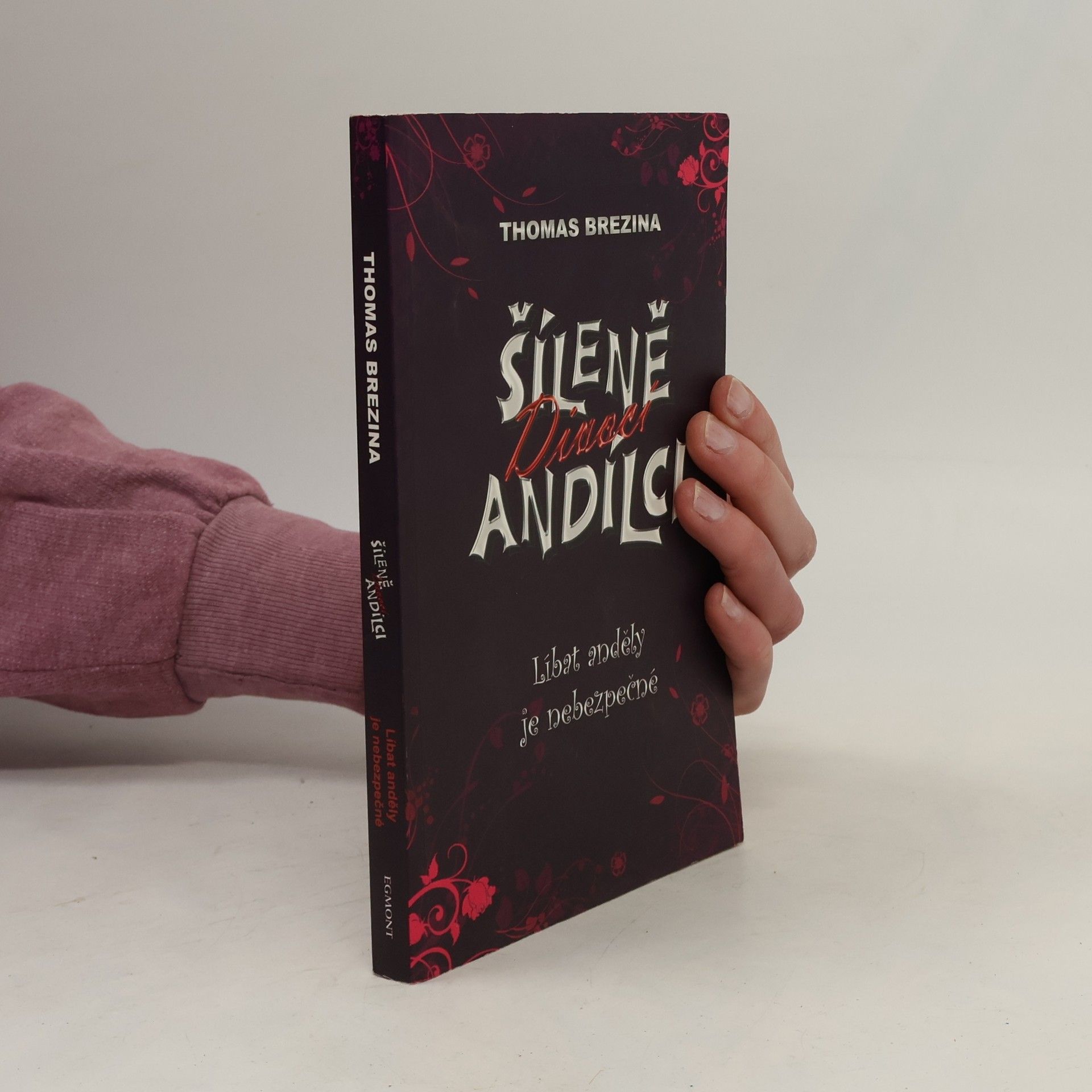 Thomas Brezina Šíleně divocí andílci. Líbat anděly je nebezpečné