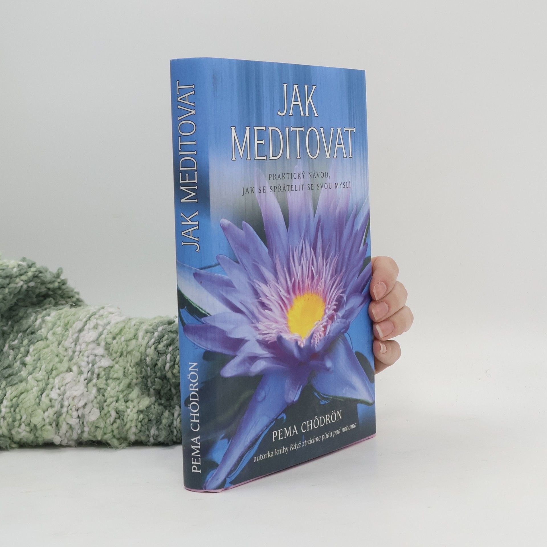Pema Chödrön Jak meditovat