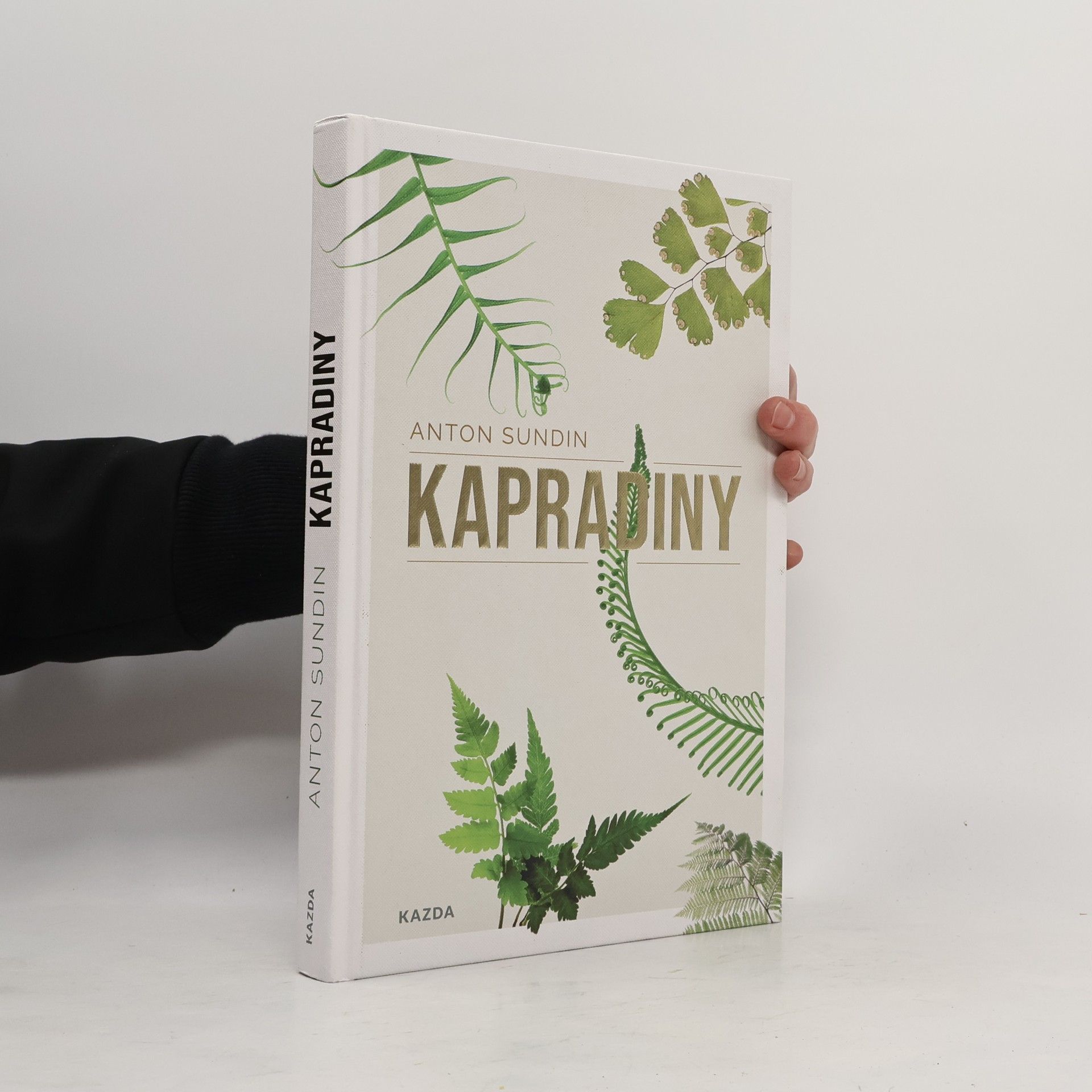 Olga Bažantová Kapradiny