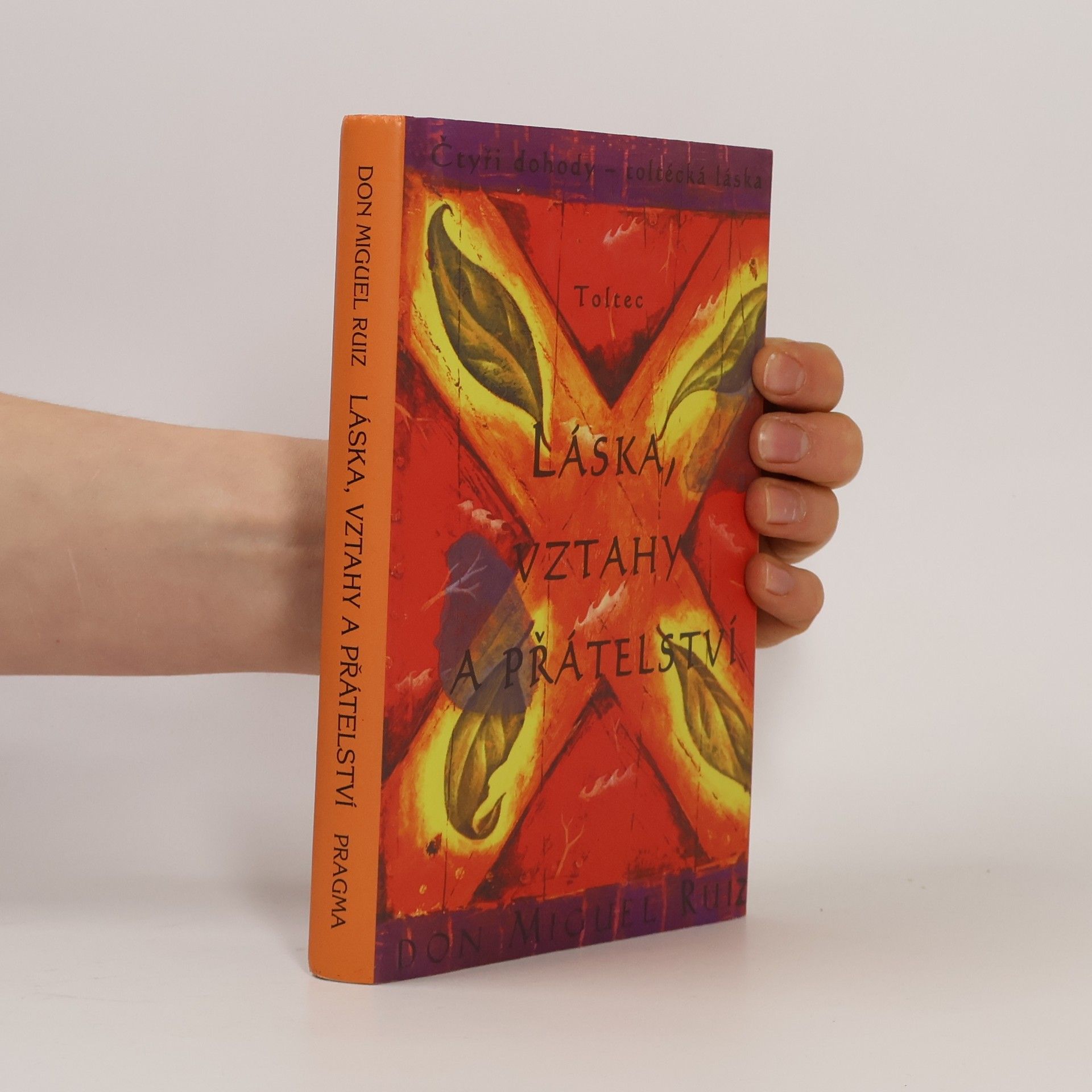 Don Miguel Ruiz Láska, vztahy a přátelství