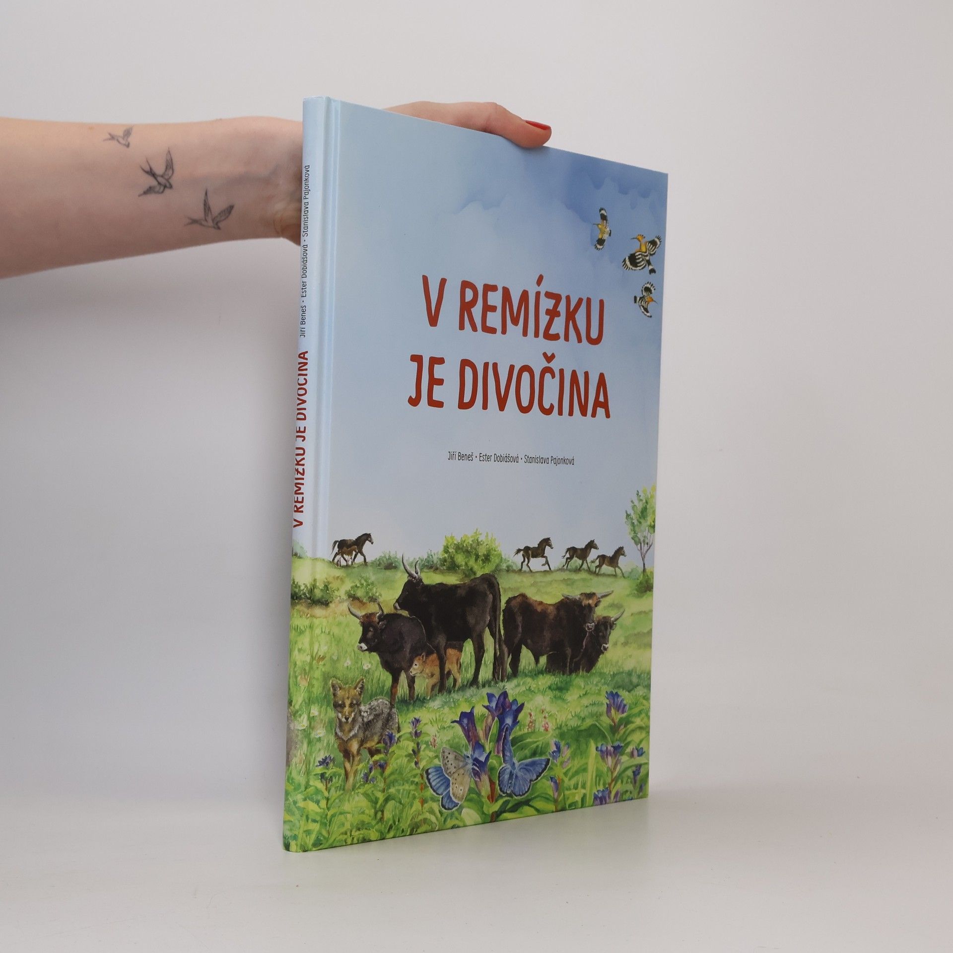 V remízku je divočina