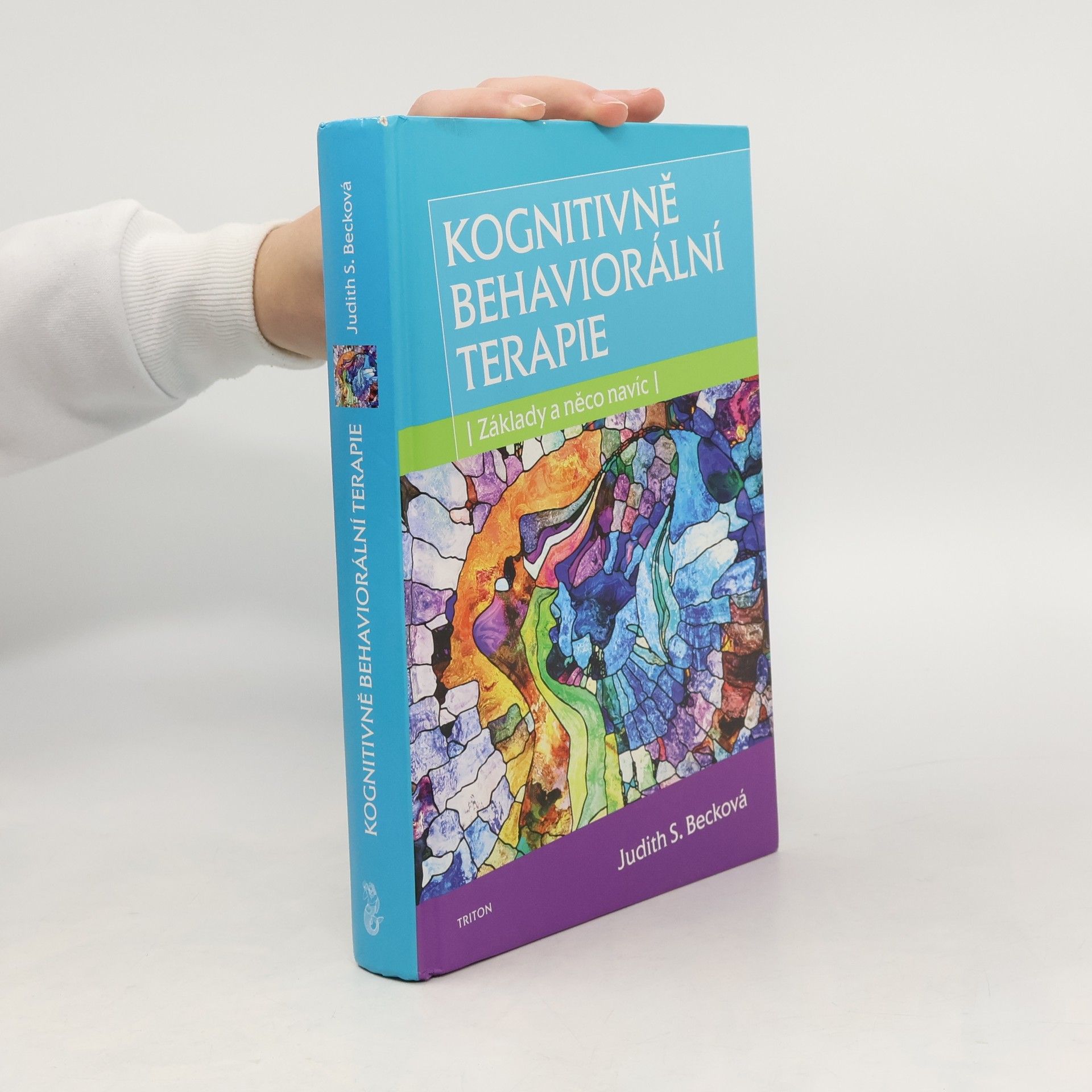 Autorenkollektiv Kognitivně behaviorální terapie. Základy a něco navíc