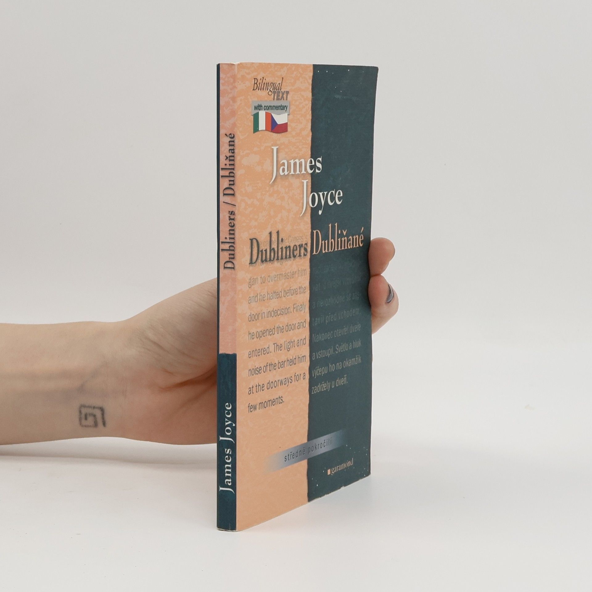 James Joyce Dubliners. Dubliňané