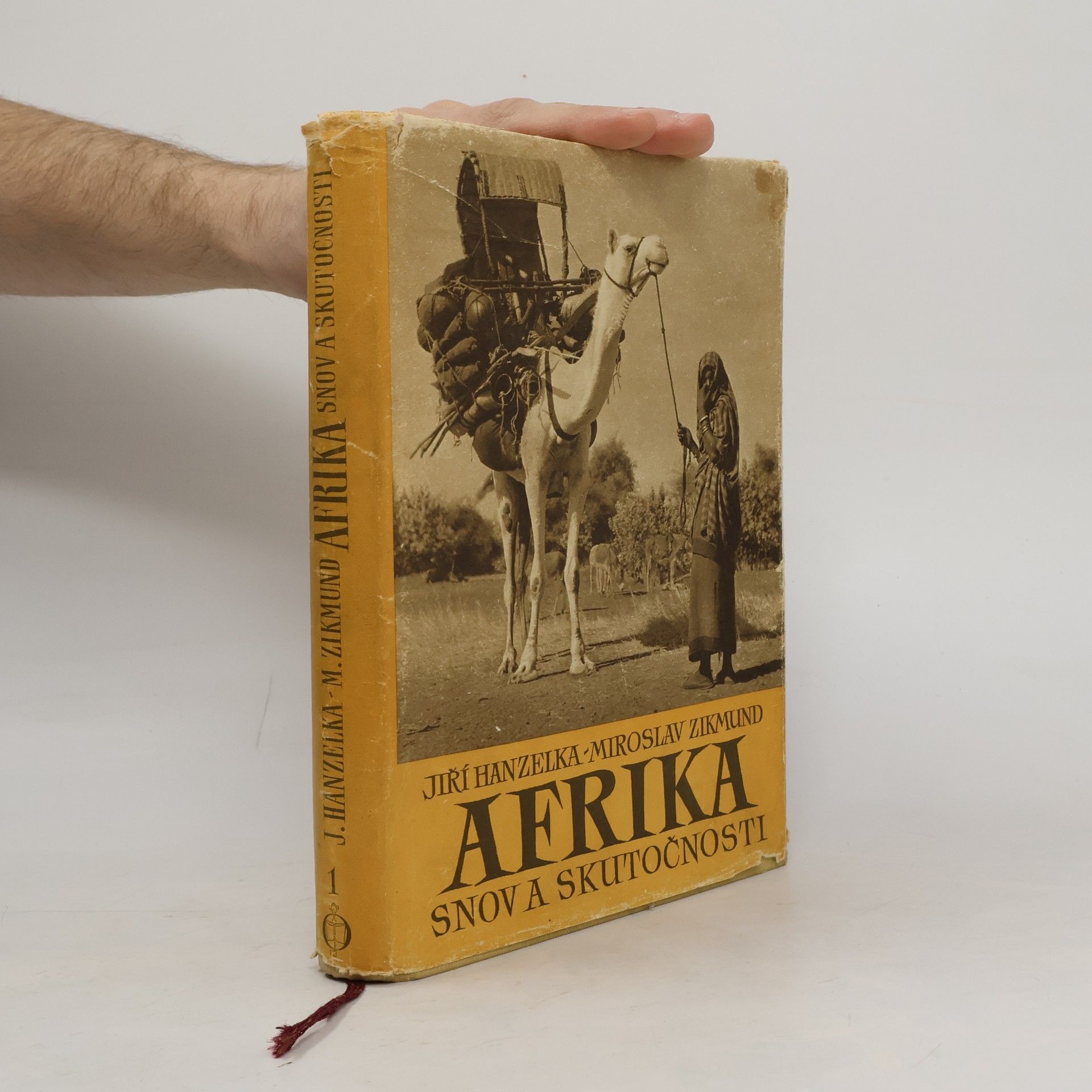 Afrika snov a skutočnosti 1