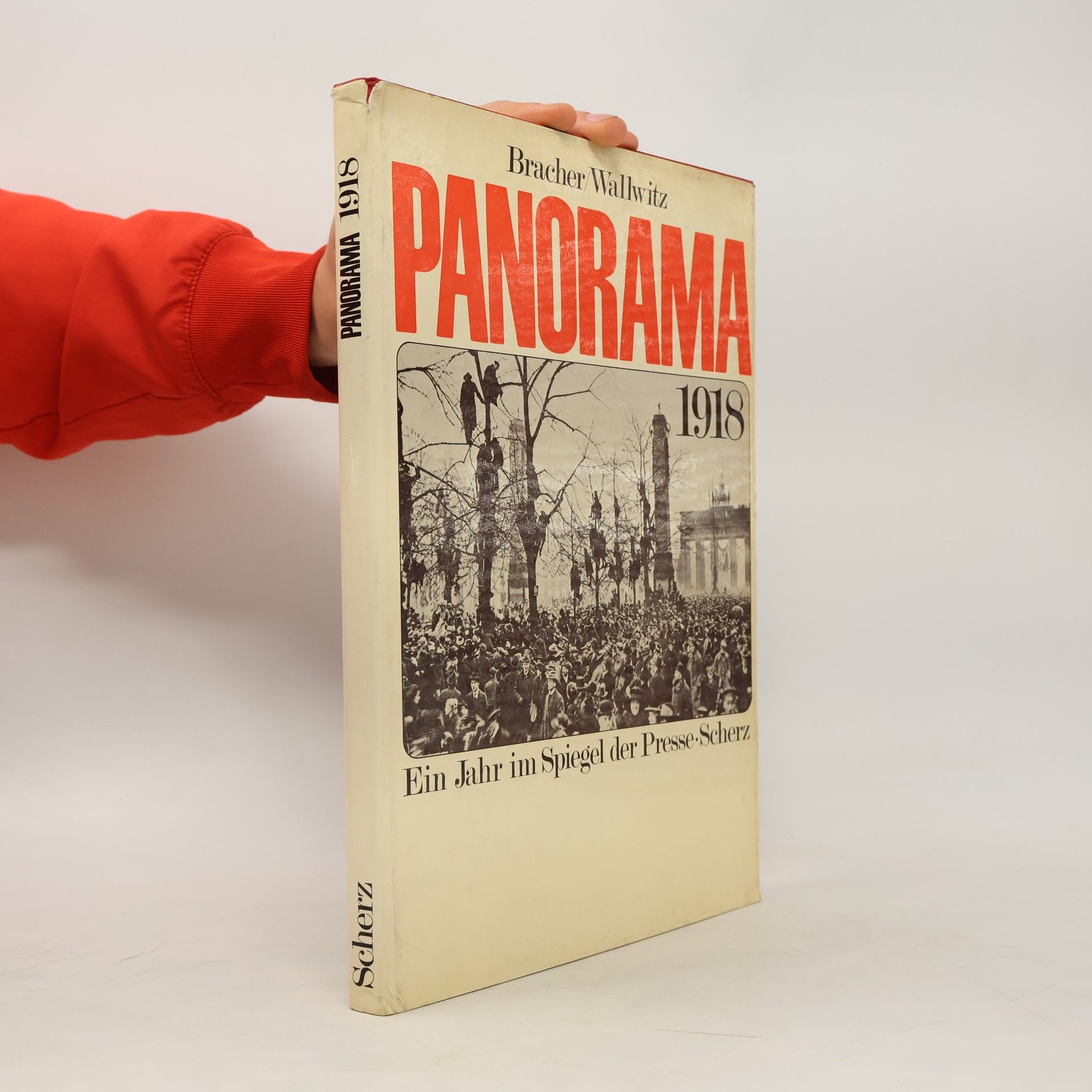 Autorenkollektiv Panorama 1918