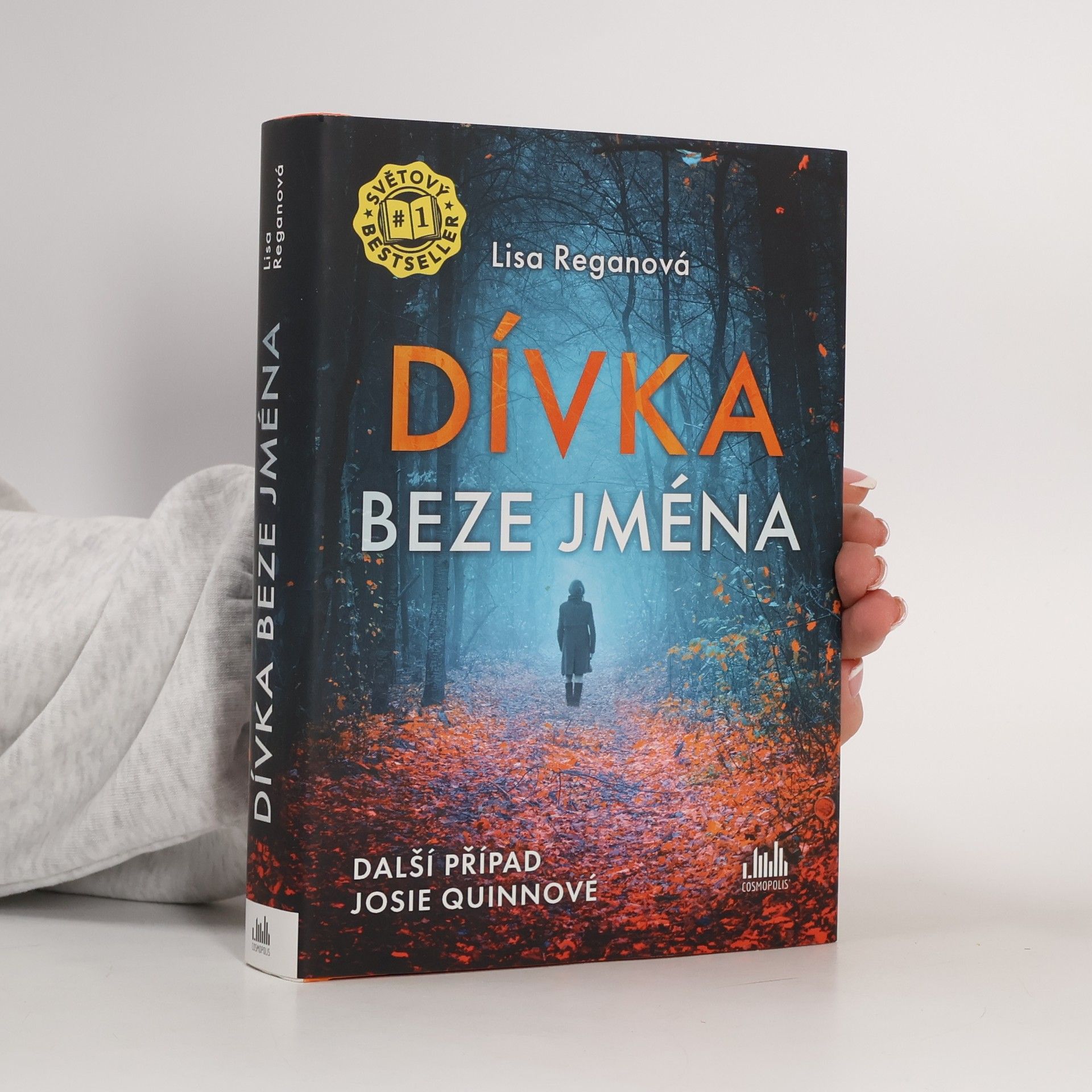 Lisa Regan Dívka beze jména: Další případ Josie Quinnové