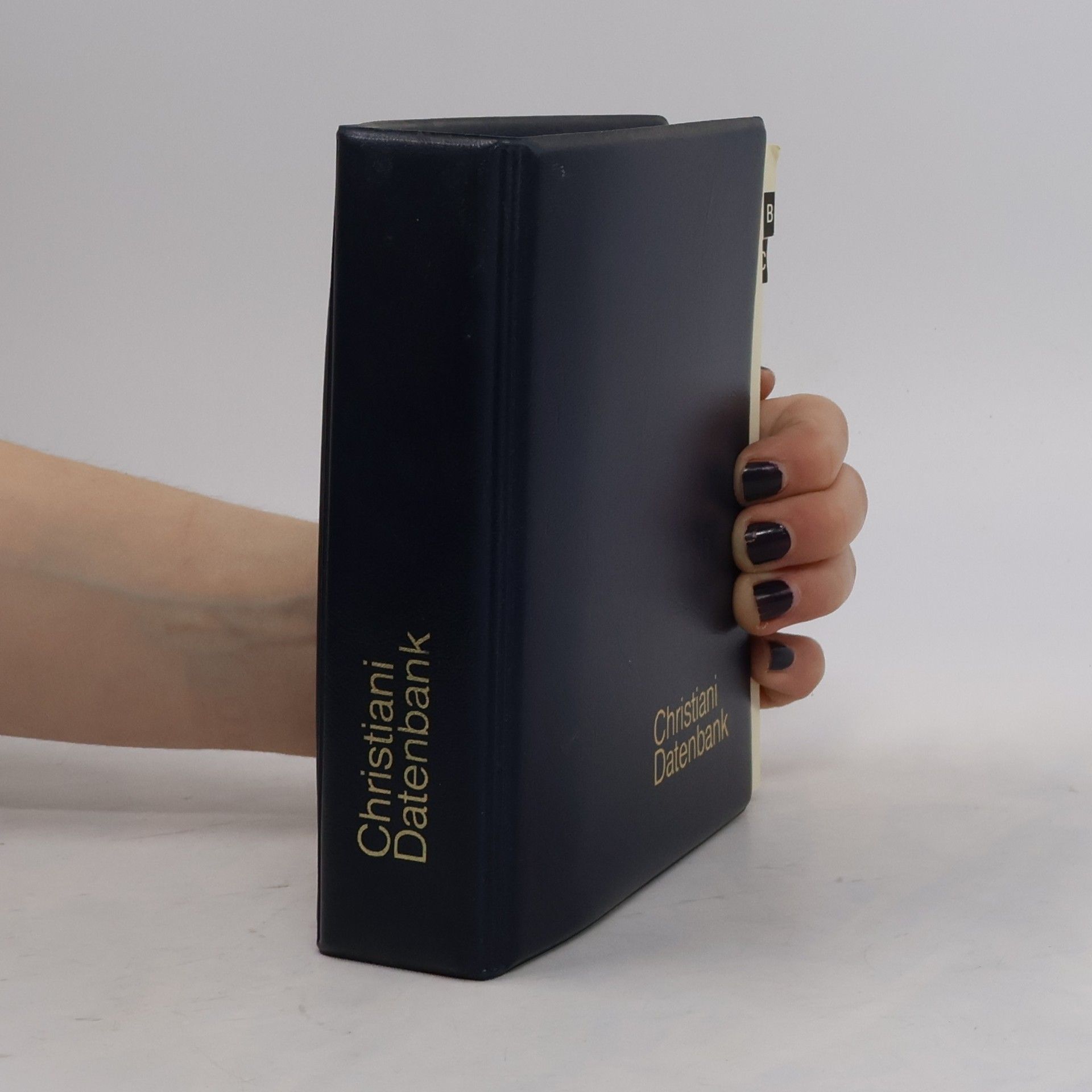 Rolf Christiani Christiani Datenbank 1987