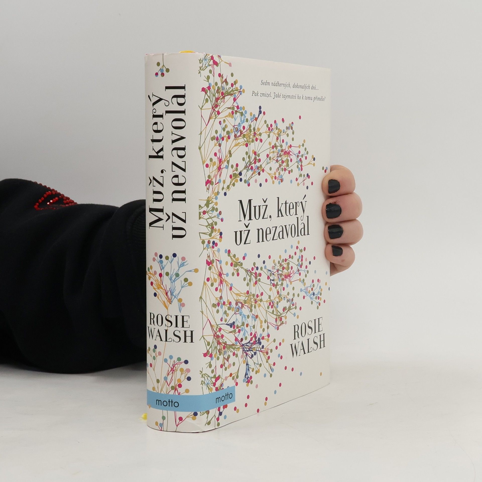 Rosie Walsh Muž, který už nezavolal