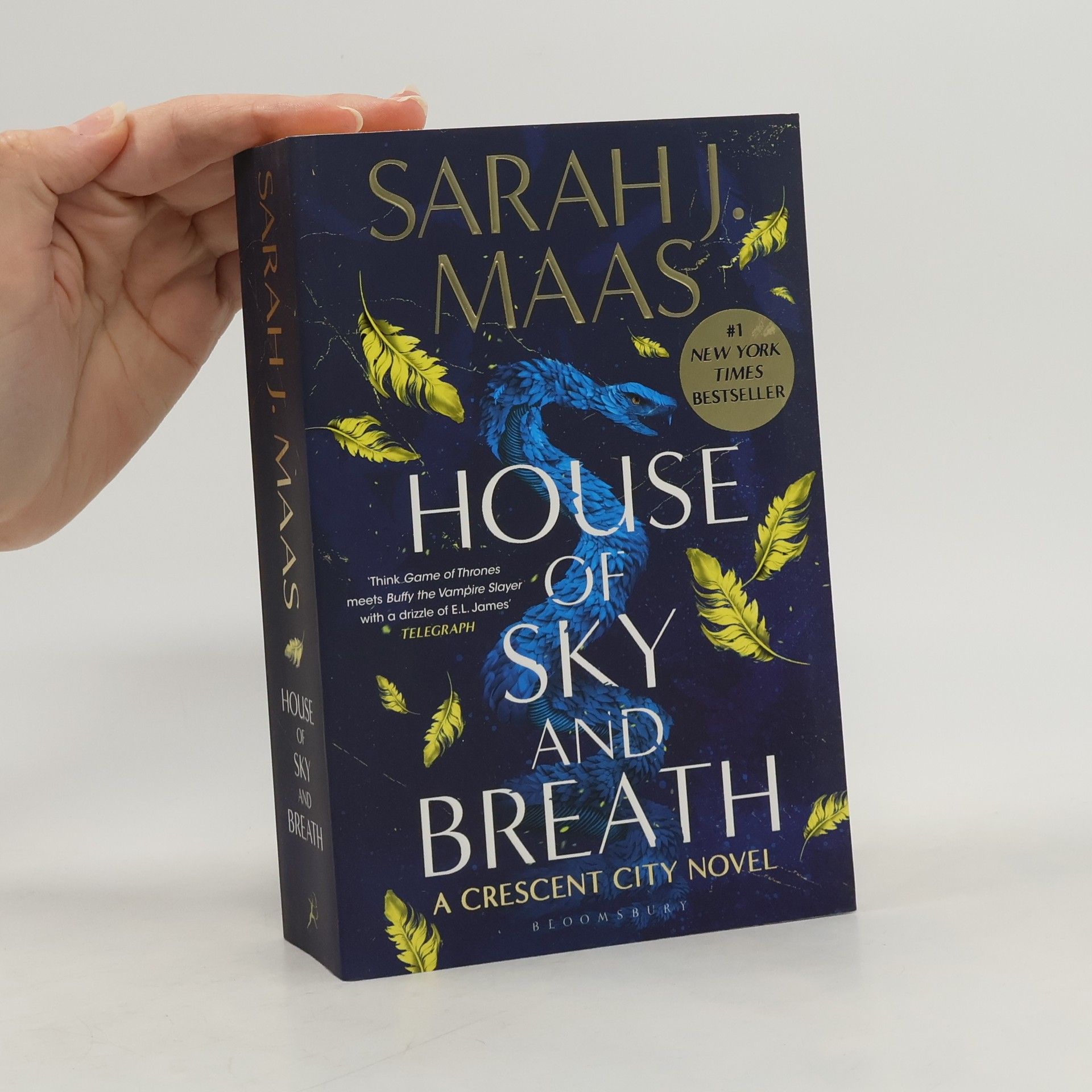 Sarah J. Maas House of Sky and Breath