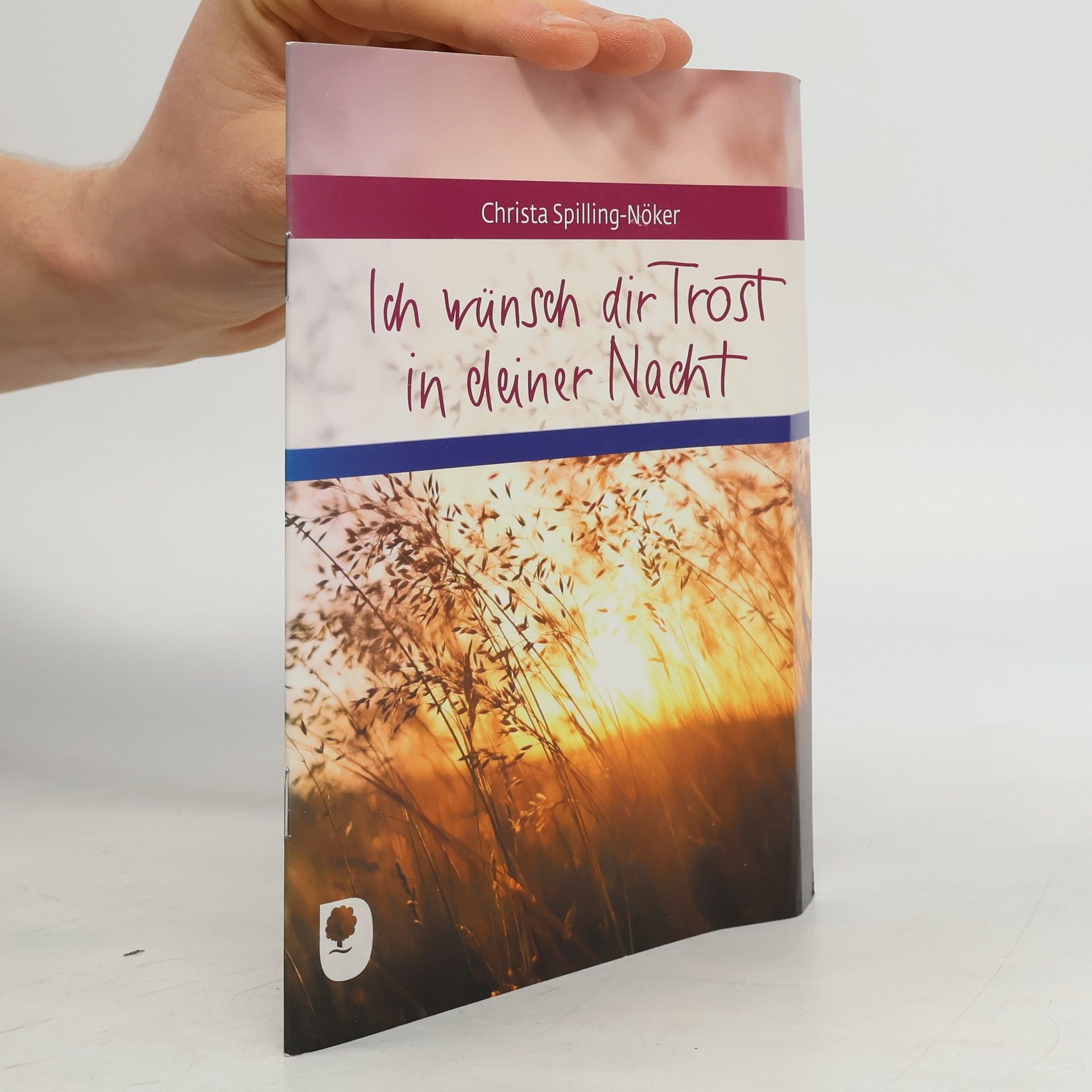 Christa Spilling-Nöker Ich wünsch dir Trost in deiner Nacht