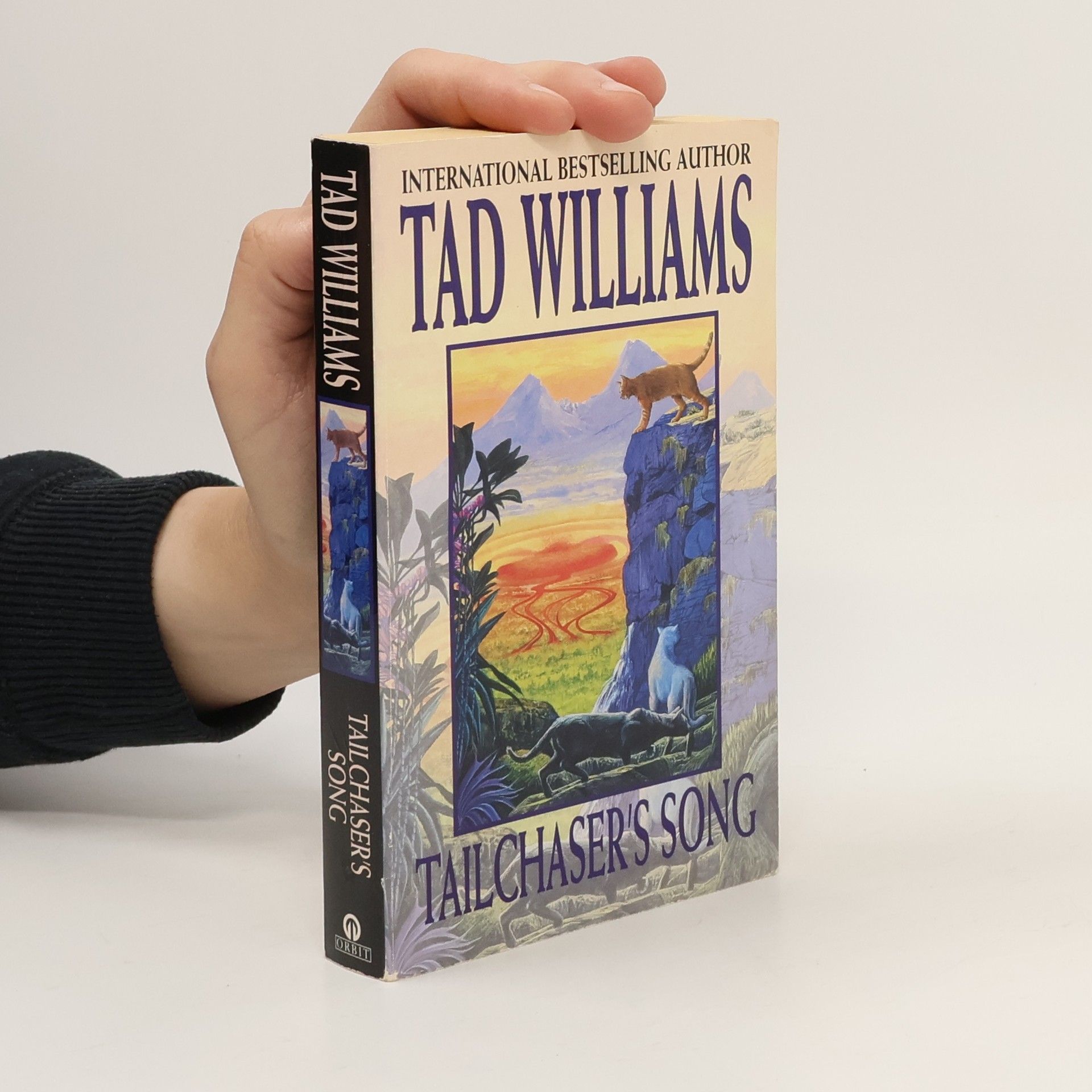 Tad Williams Tailchaser's Song