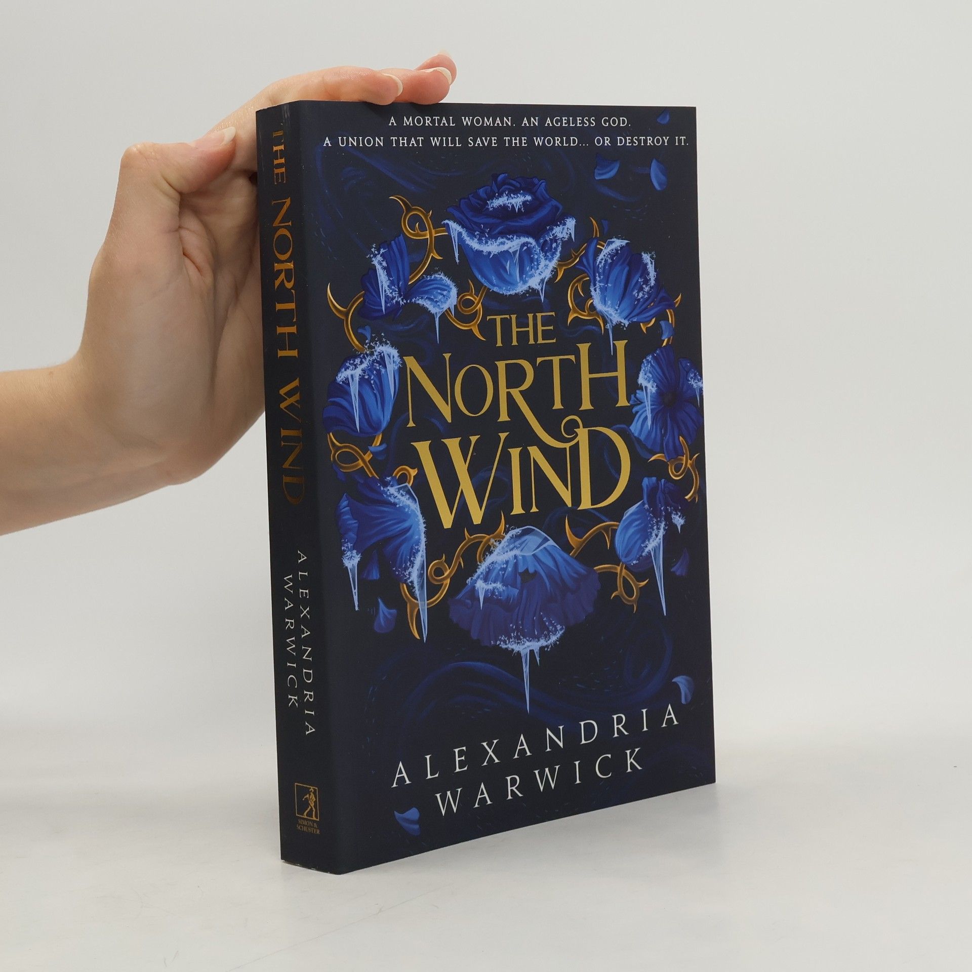 Alexandria Warwick The North Wind: The TikTok sensation! An enthralling enemies-to-lovers romantasy, the first in the Four Winds series