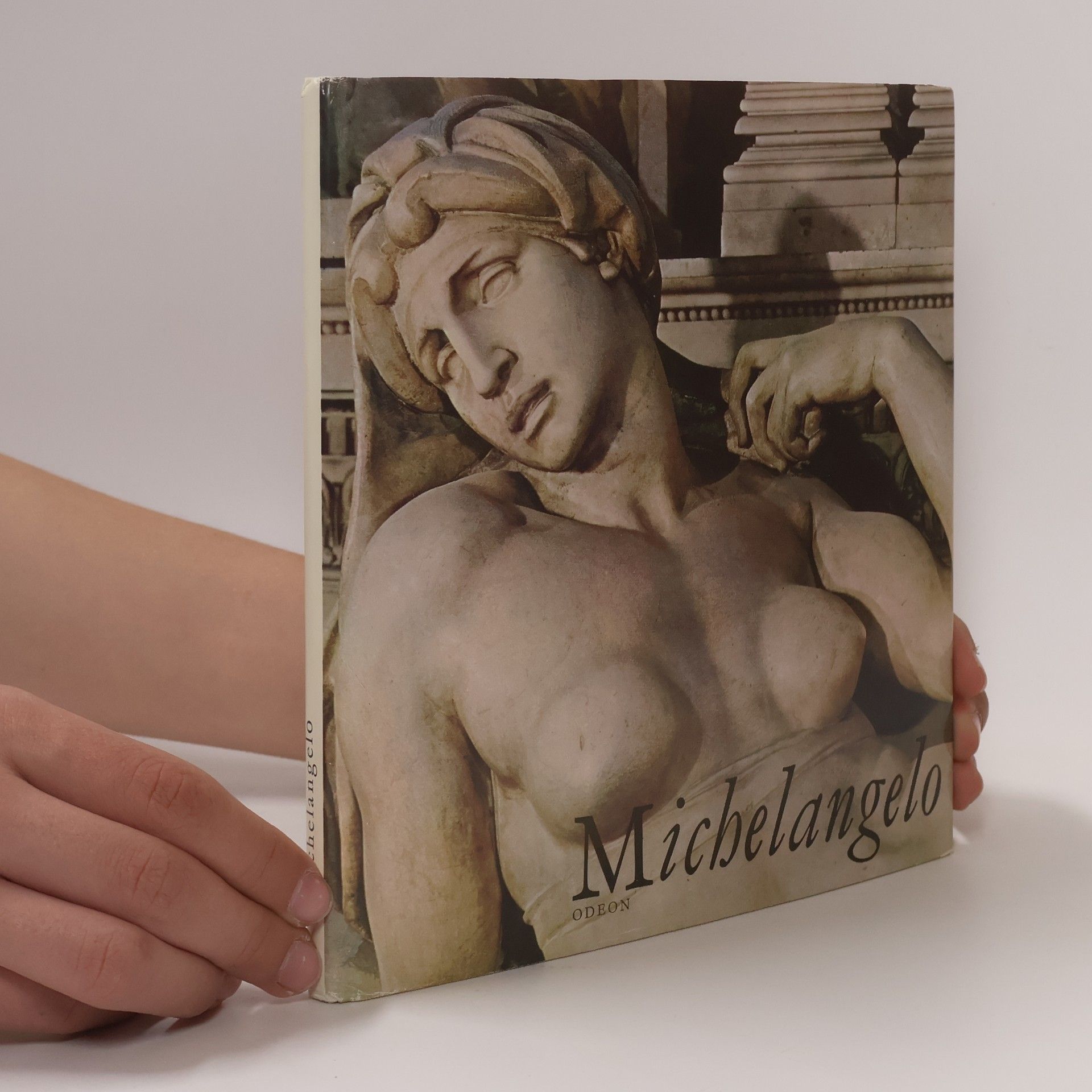 Kolektiv autorů Michelangelo