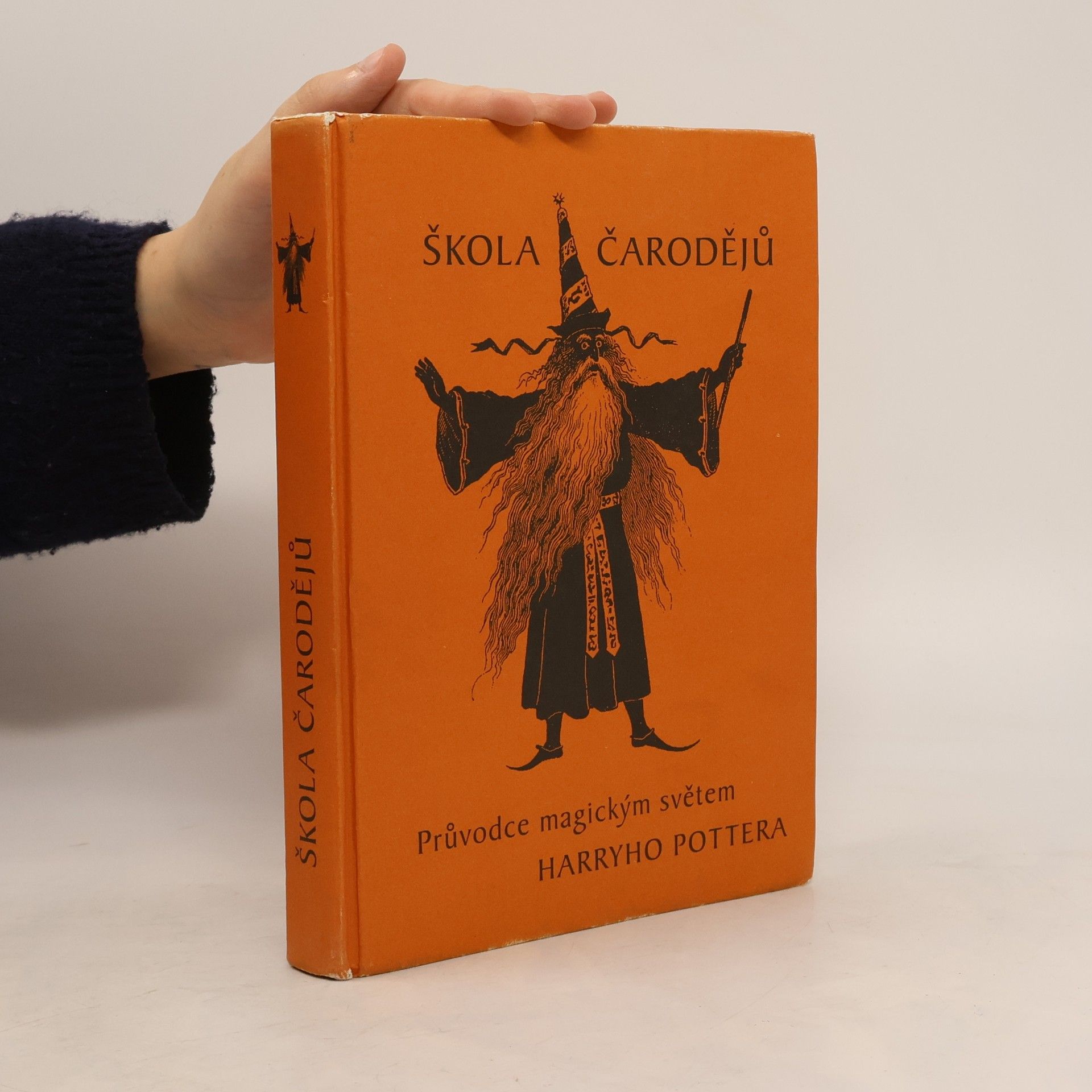 Allan Zola Kronzek Škola čarodějů. Průvodce magickým světem Harryho Pottera
