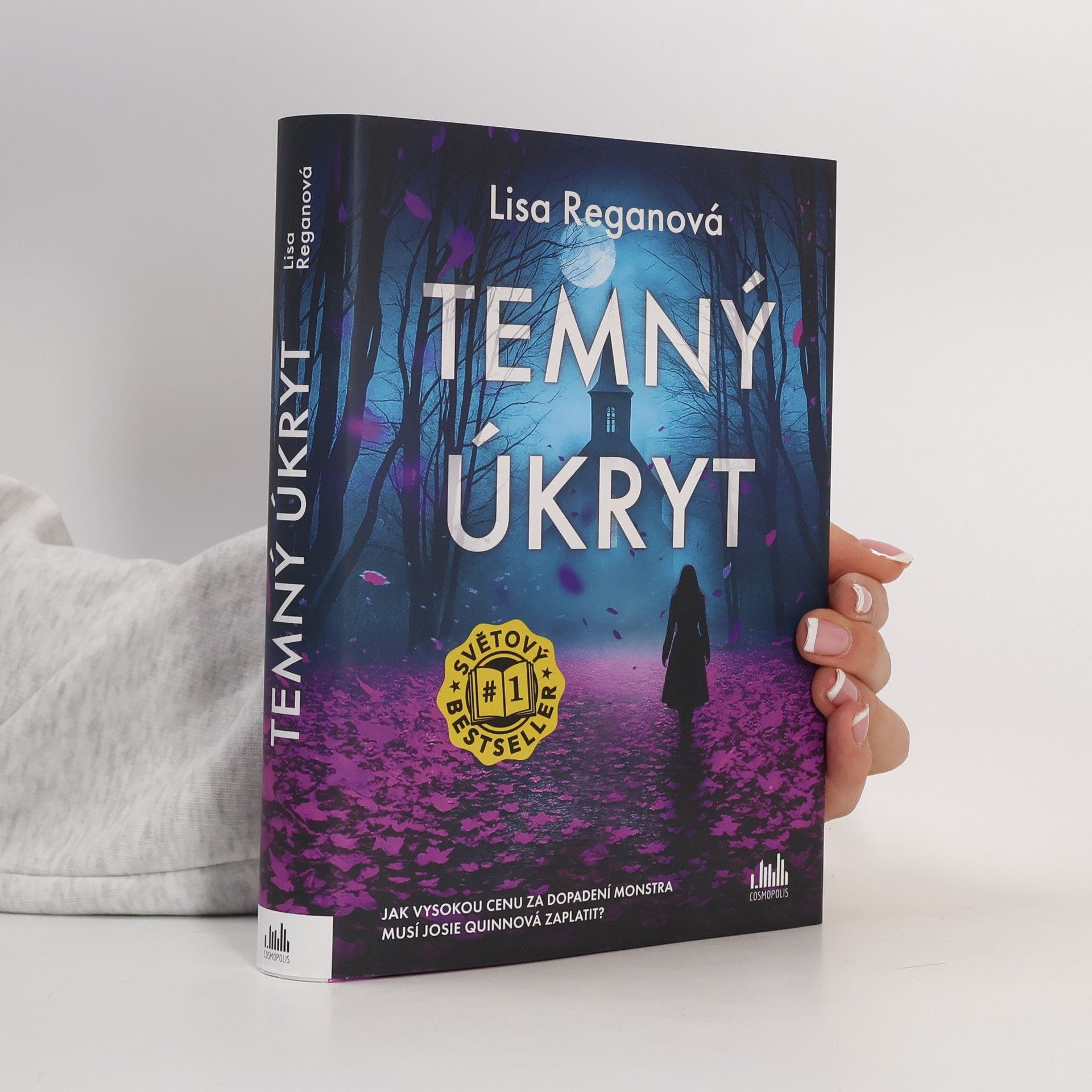 Lisa Regan Temný úkryt