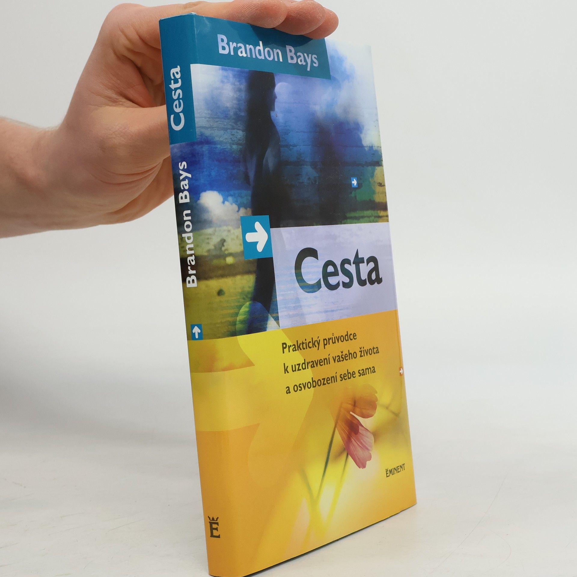 Brandon Bays Cesta