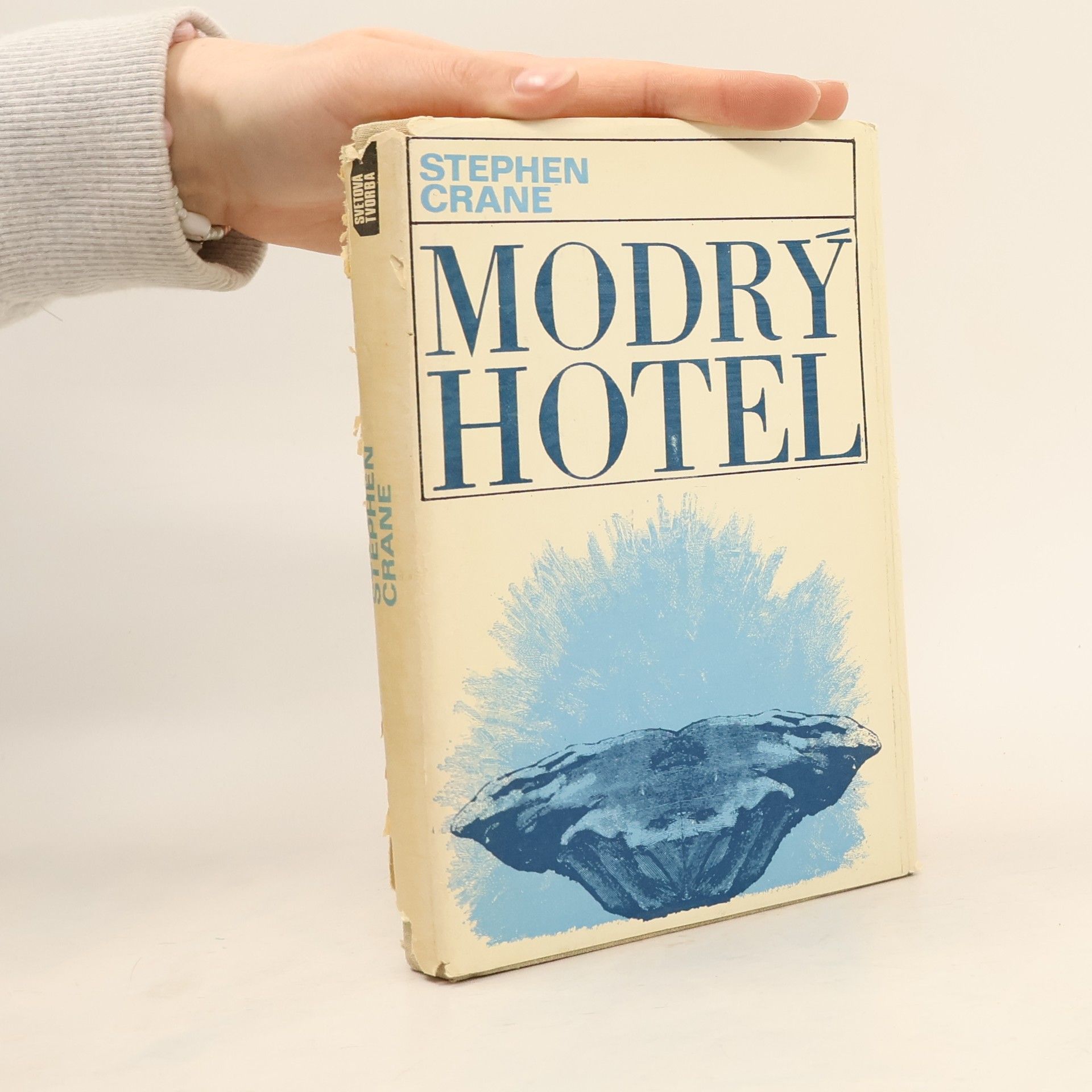 Stephen Crane Modrý hotel