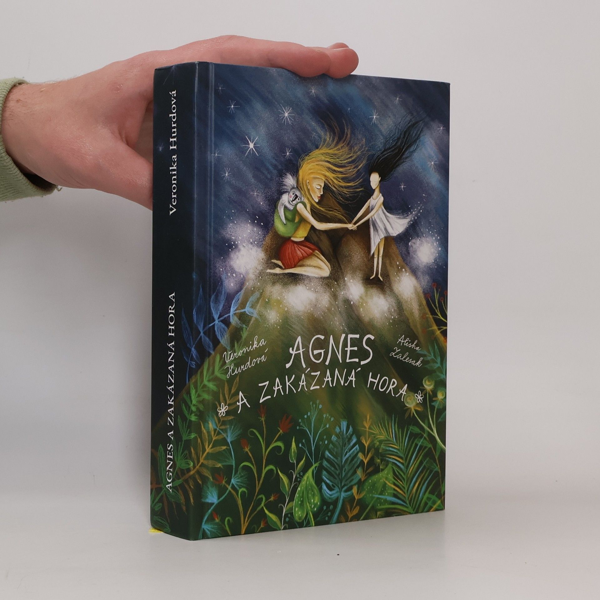 Veronika Hájek Hurdová Agnes a Zakázaná hora