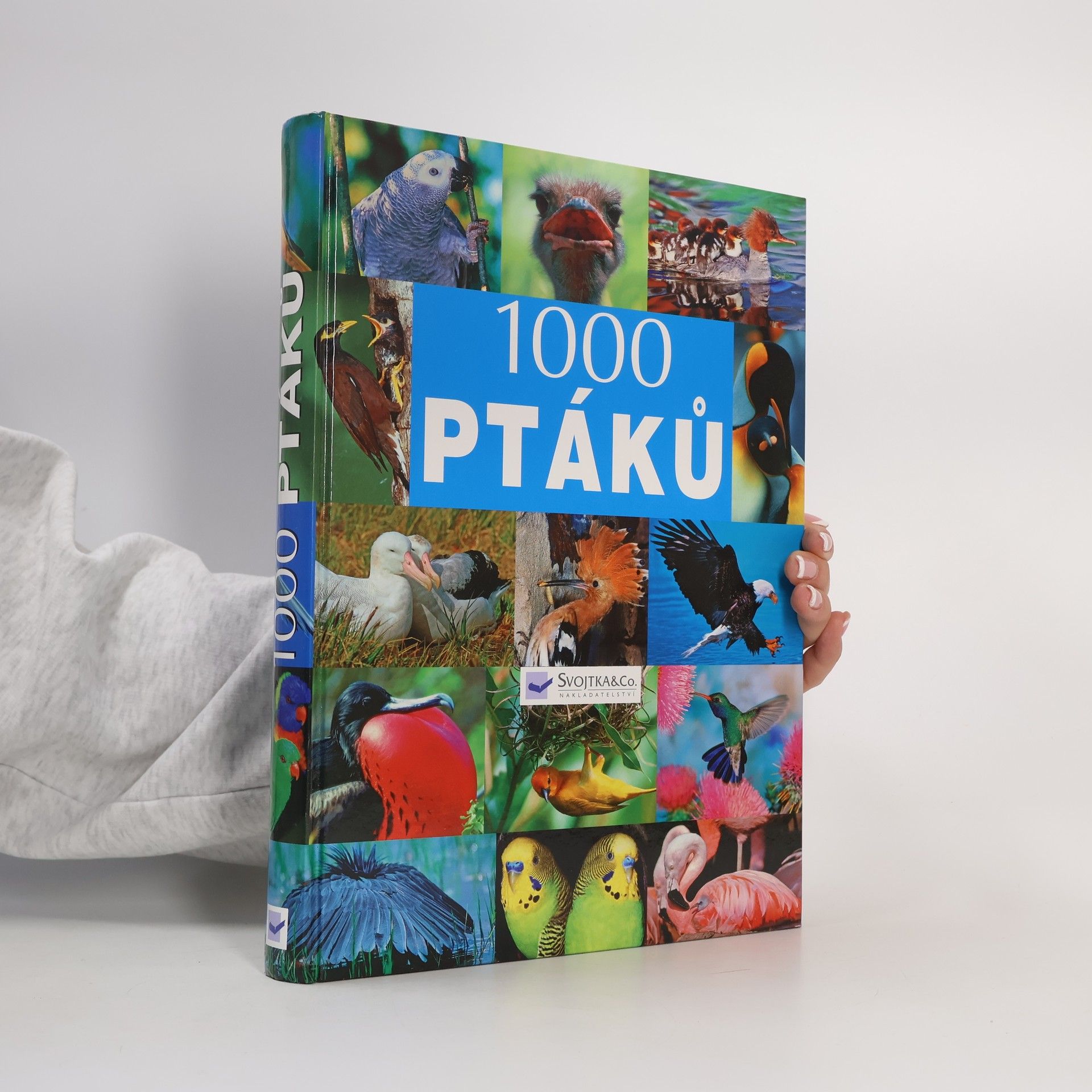 Various authors 1000 ptáků