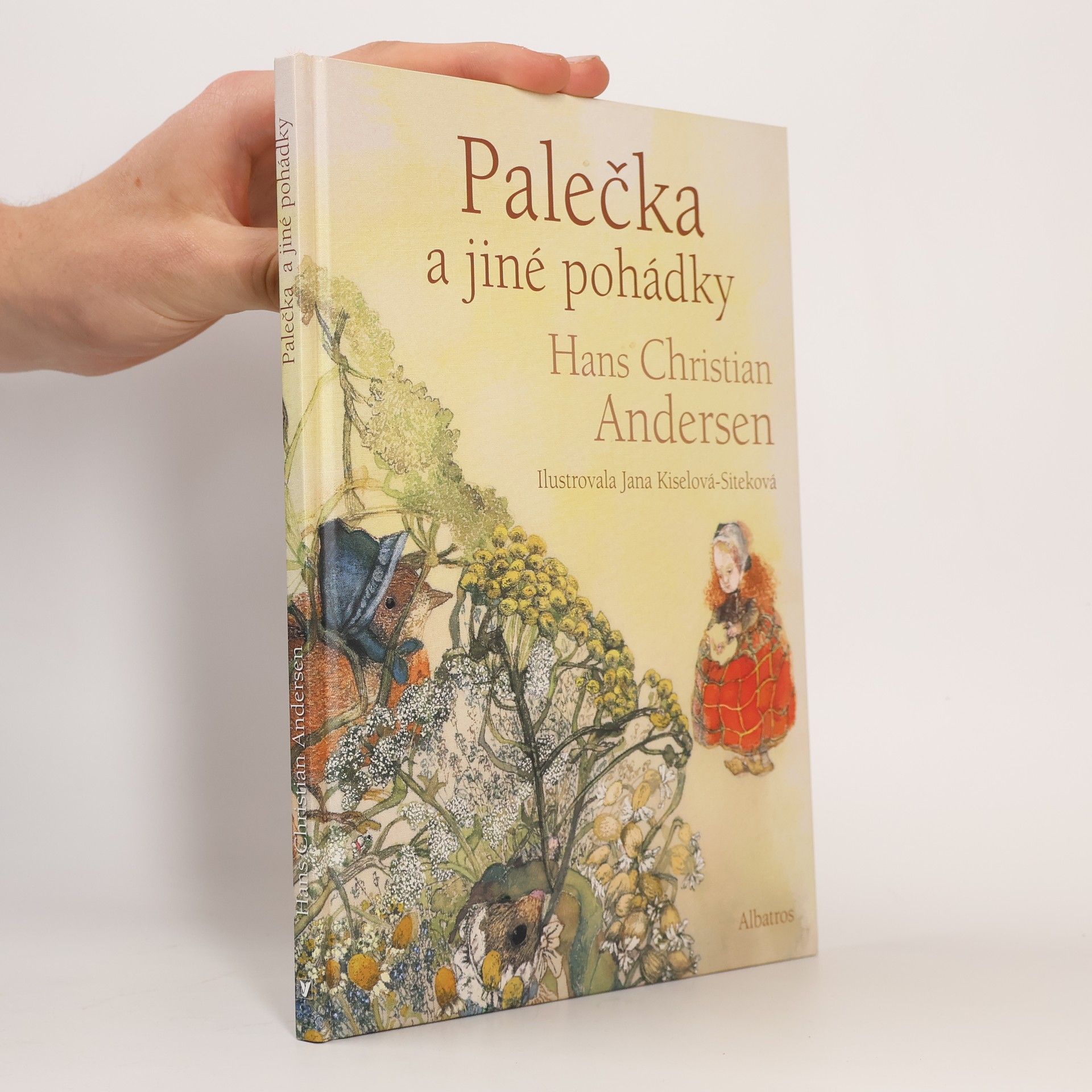 Hans-Christian Andersen Palečka a jiné pohádky