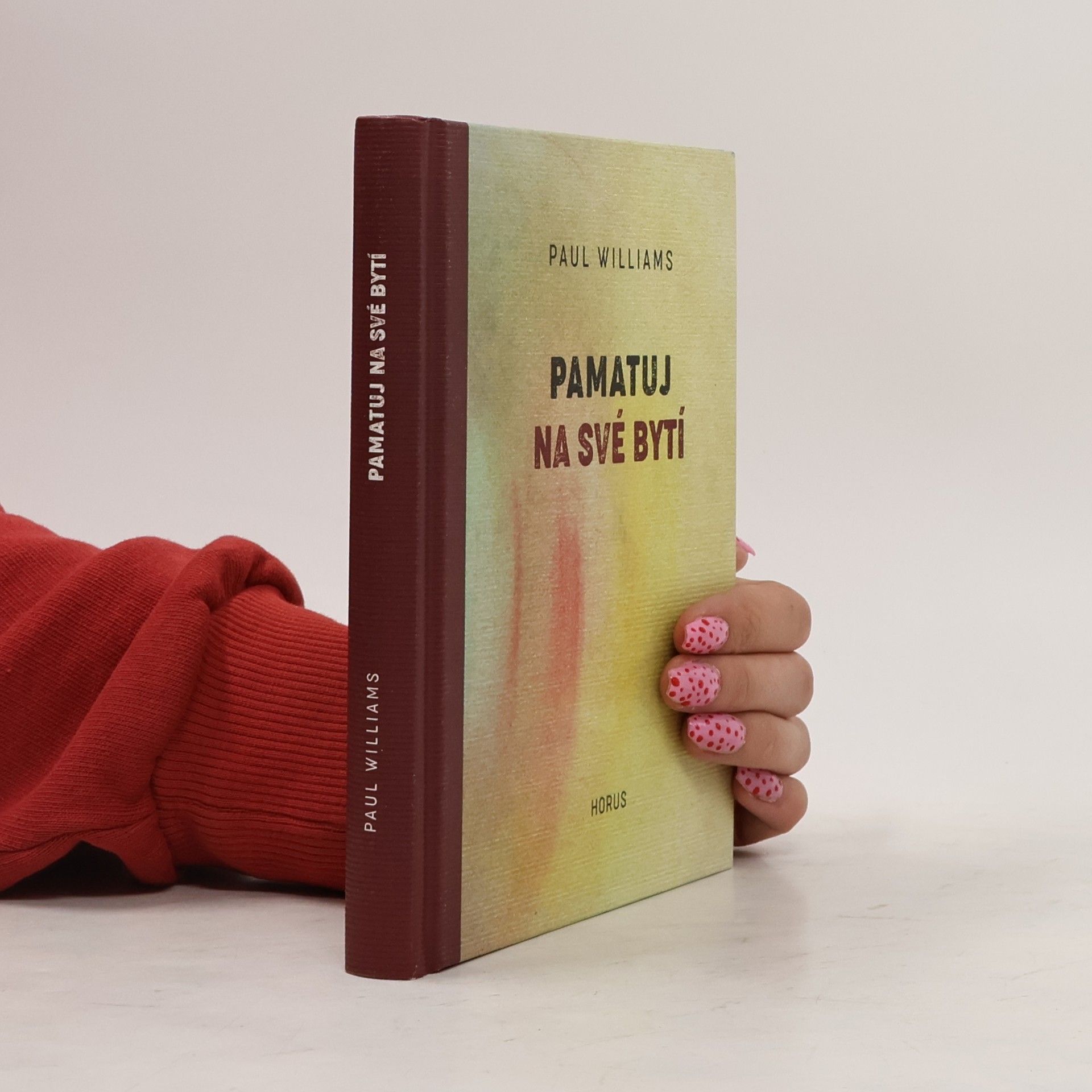 Paul Williams Pamatuj na své bytí