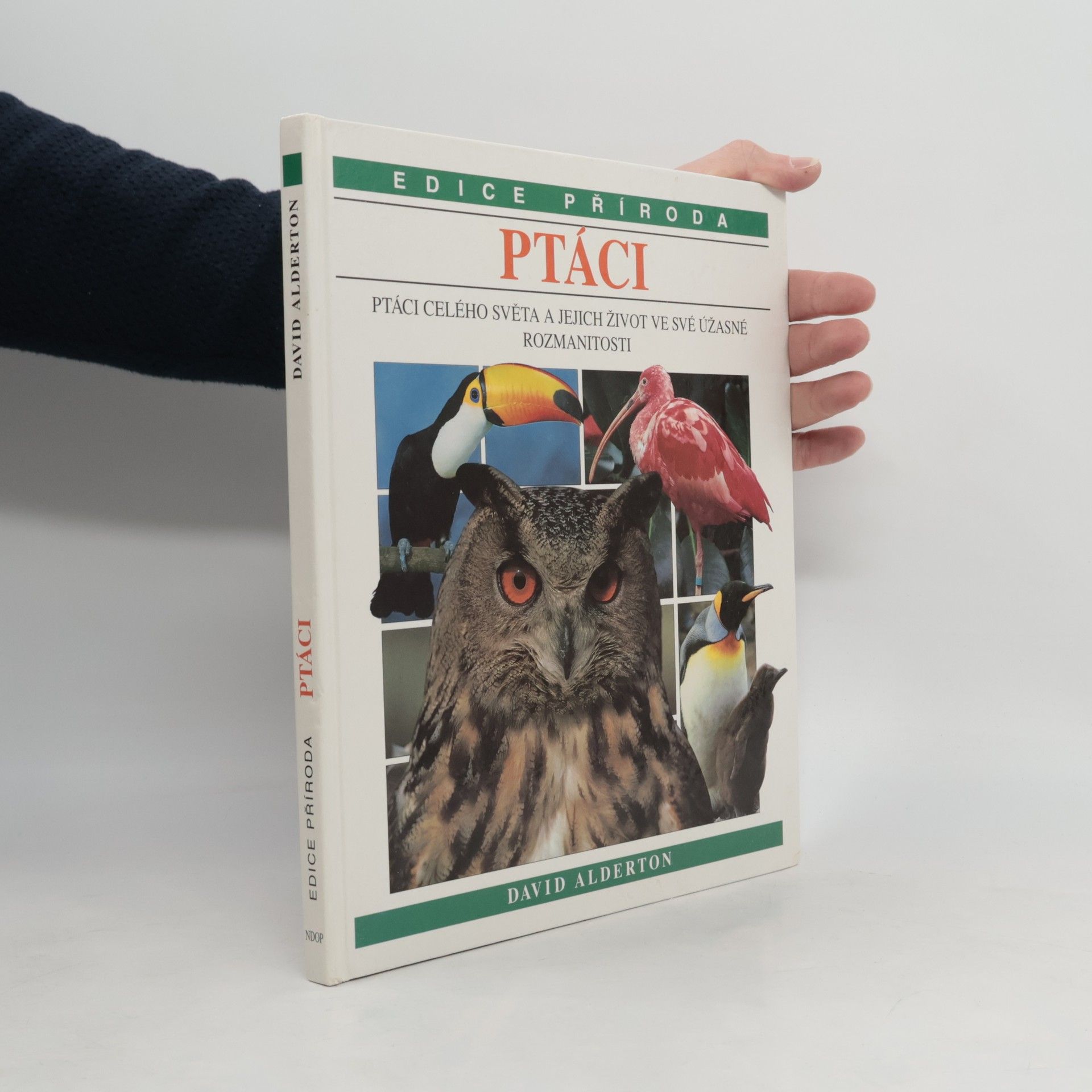 David Alderton Ptáci