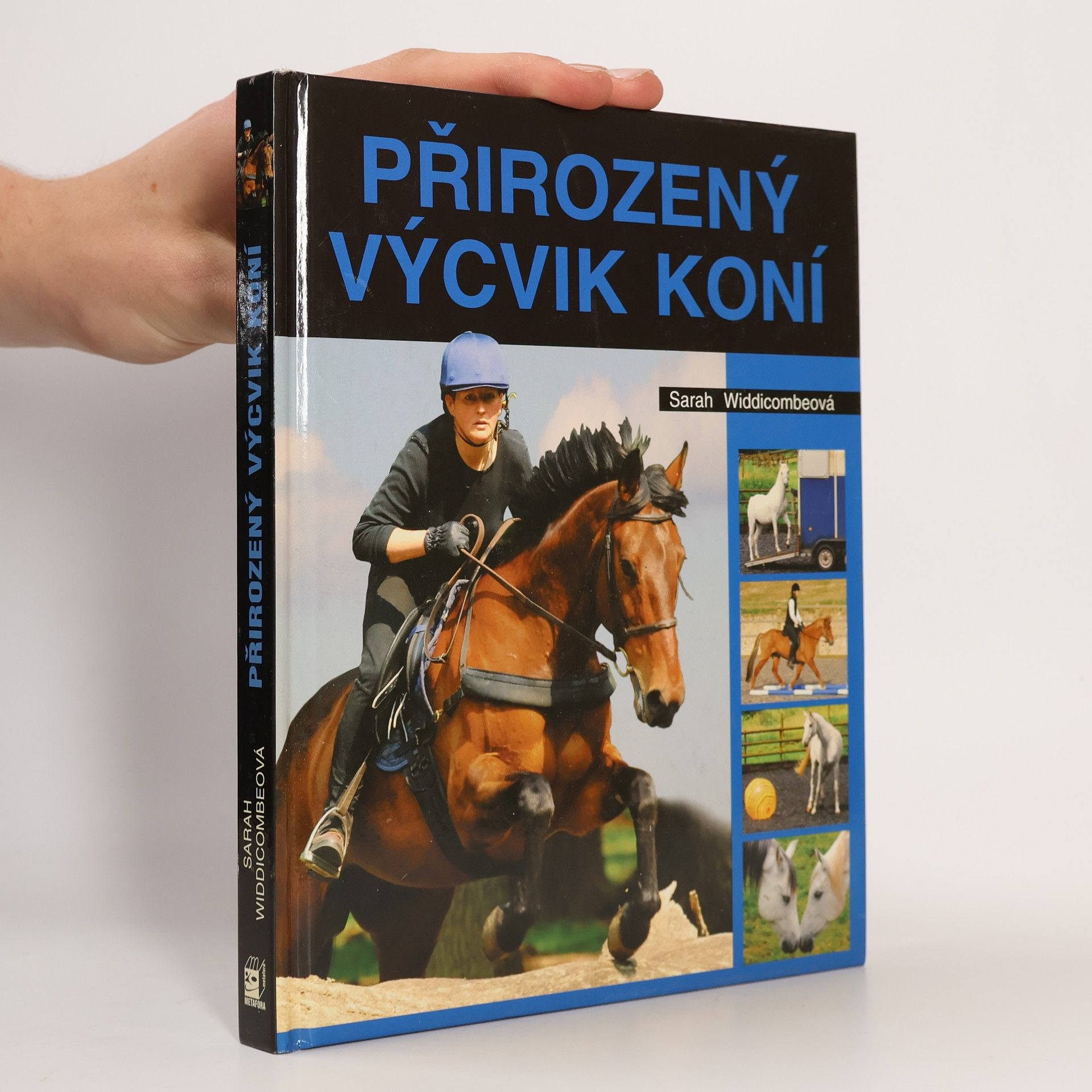 Sarah Widdicombe Přirozený výcvik koní