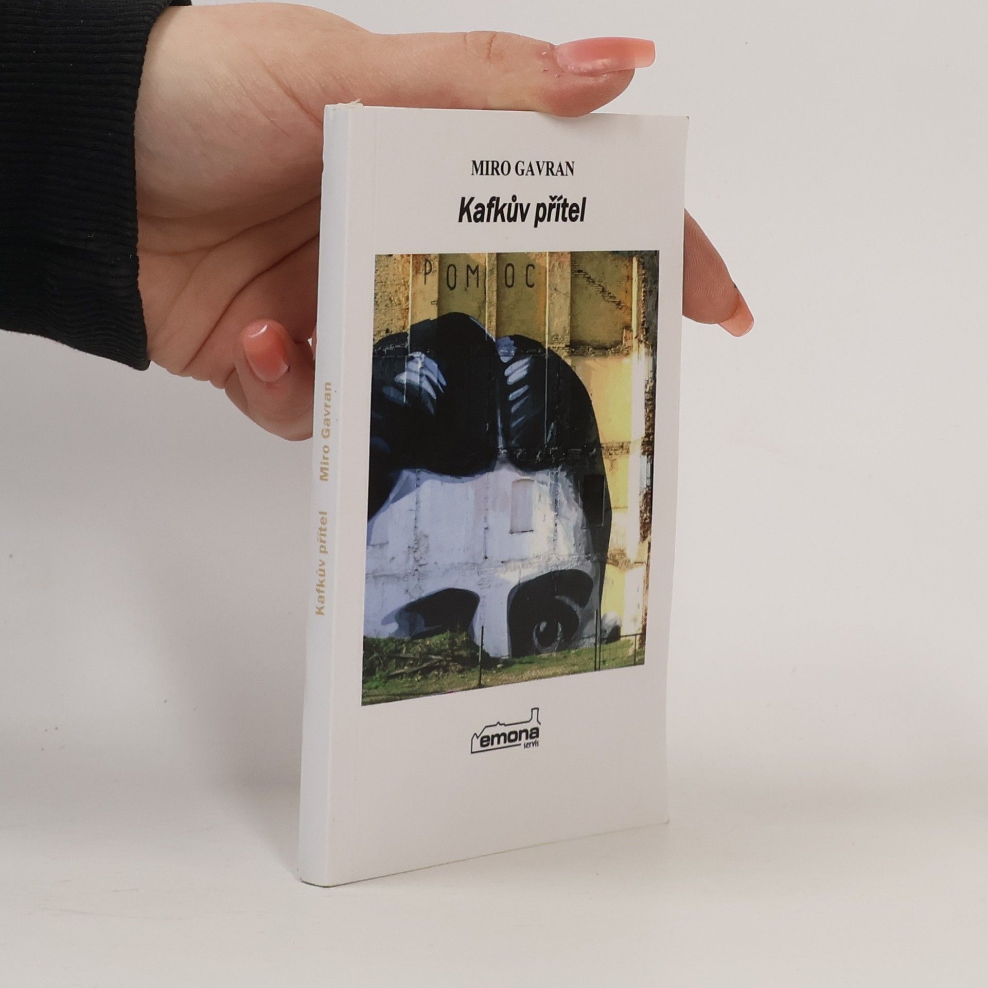 Miro Gavran Kafkův přítel : román