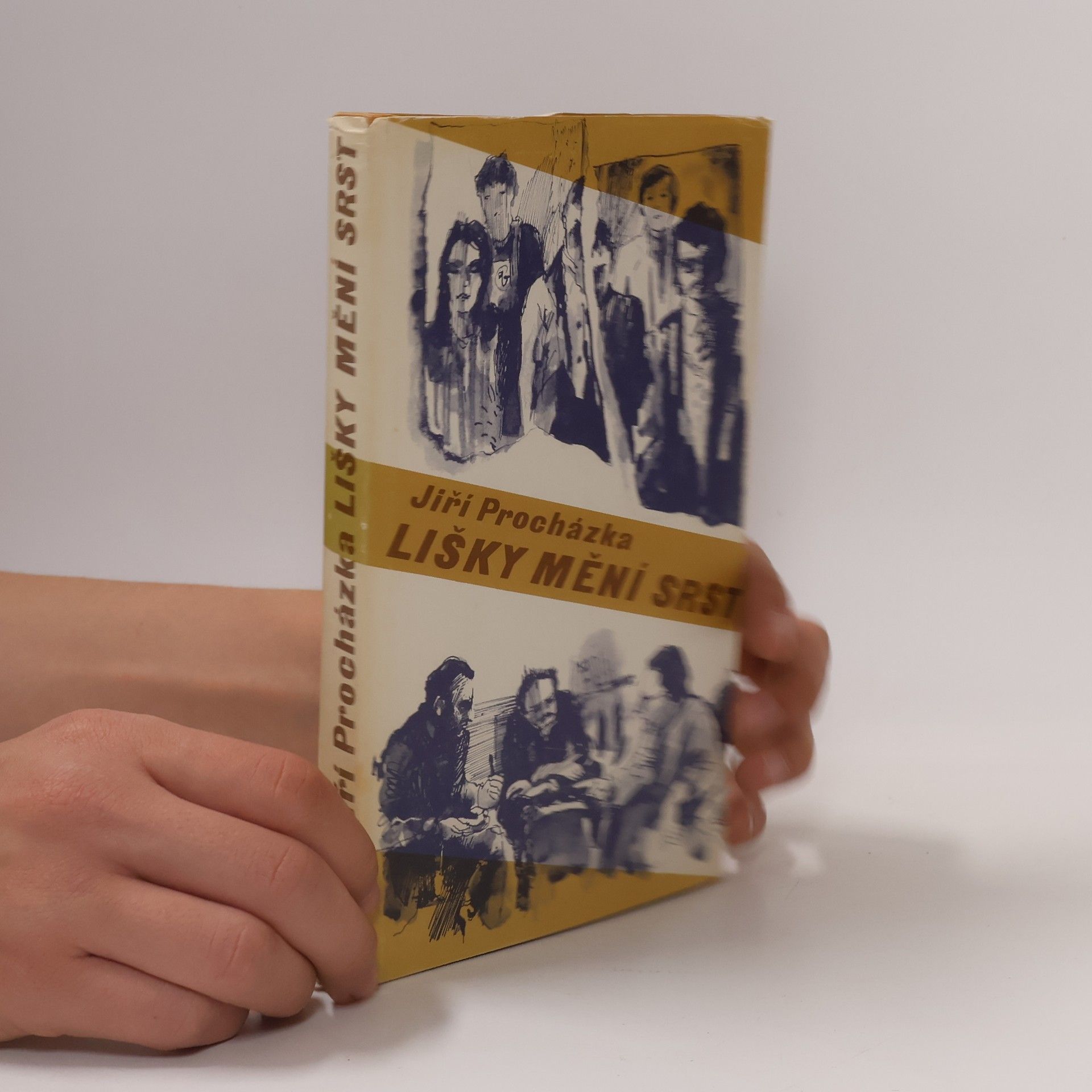 Jiří Procházka Lišky mění srst