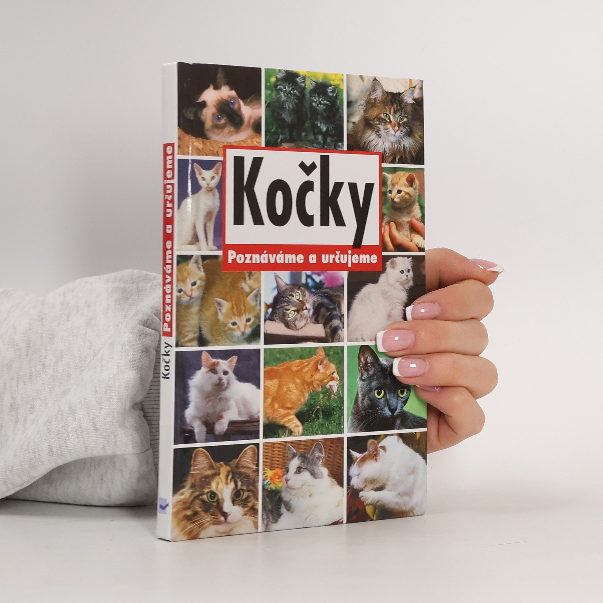 Autorenkollektiv Kočky. Poznáváme a určujeme.