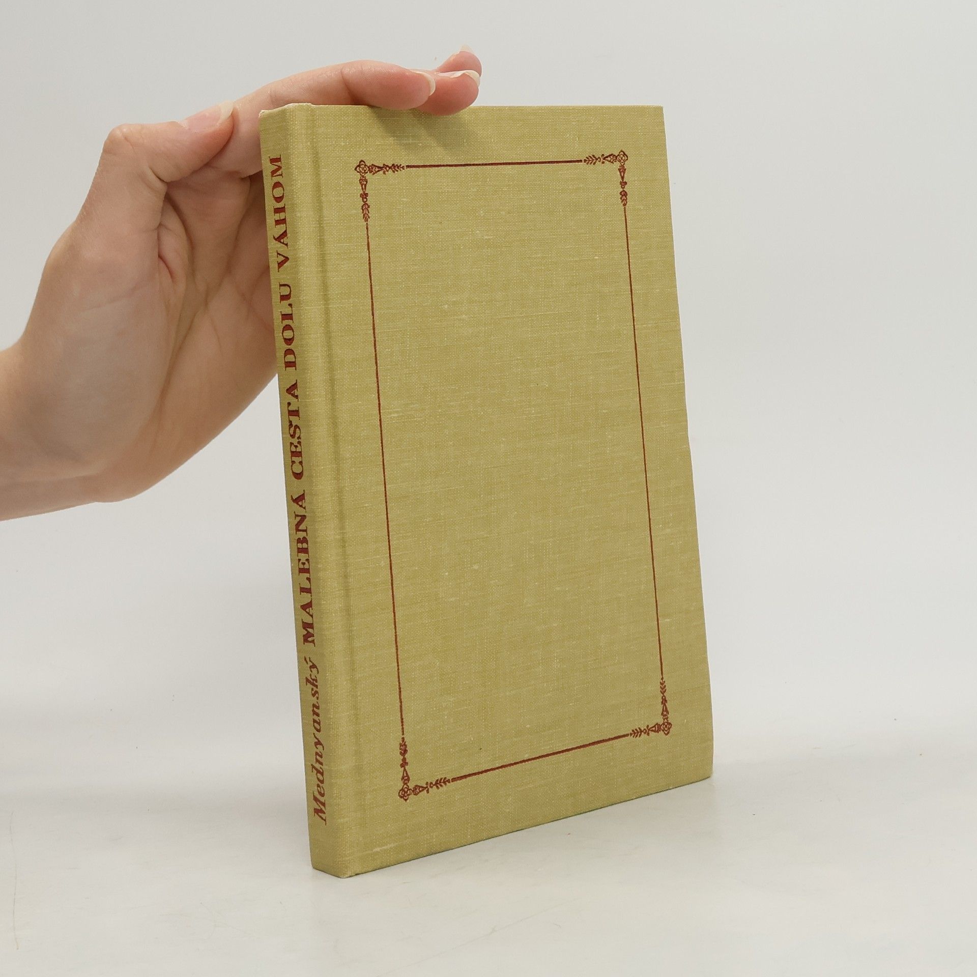 Alajos Mednyánszky Malebná cesta dolu Váhom