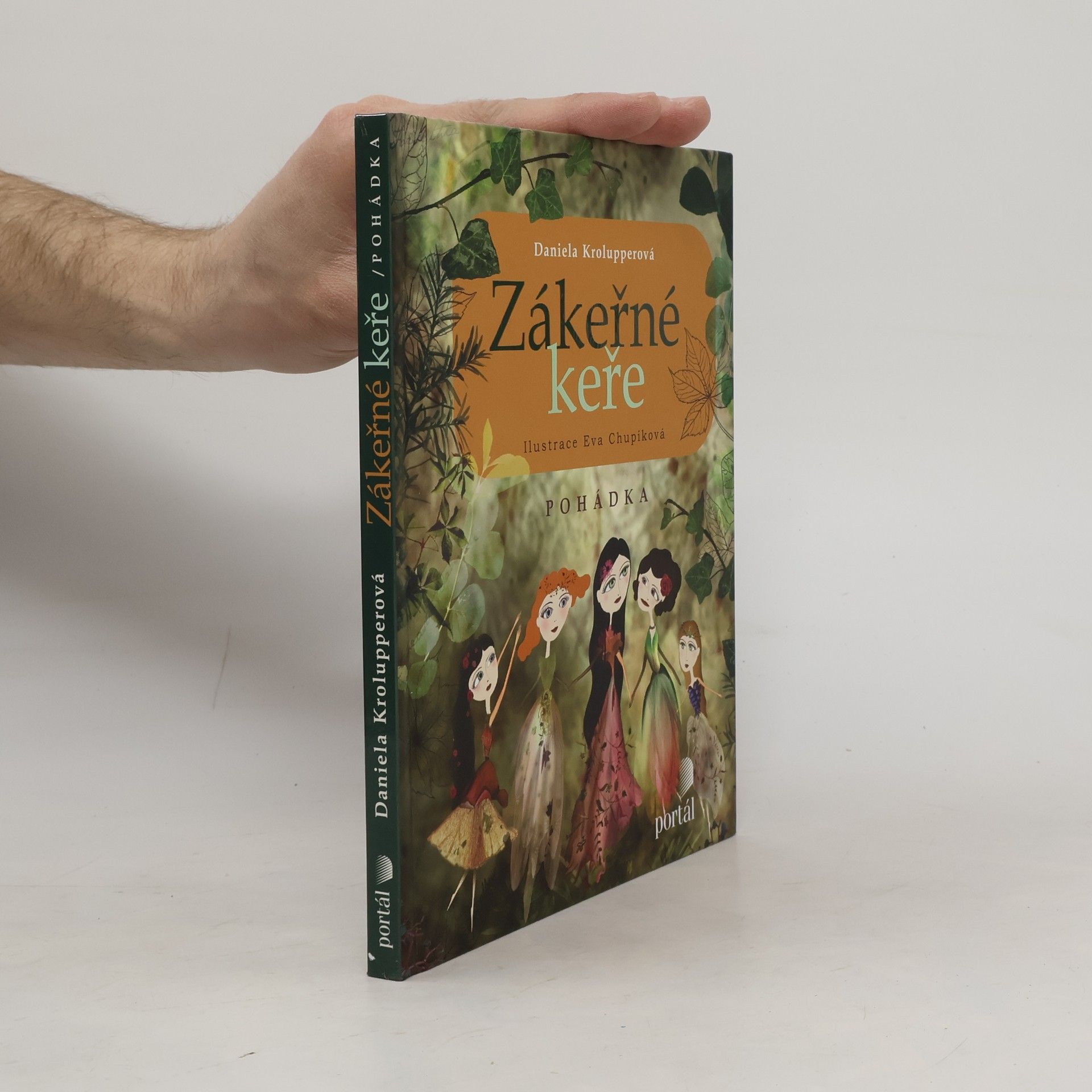 Daniela Krolupperová Zákeřné keře : pohádka