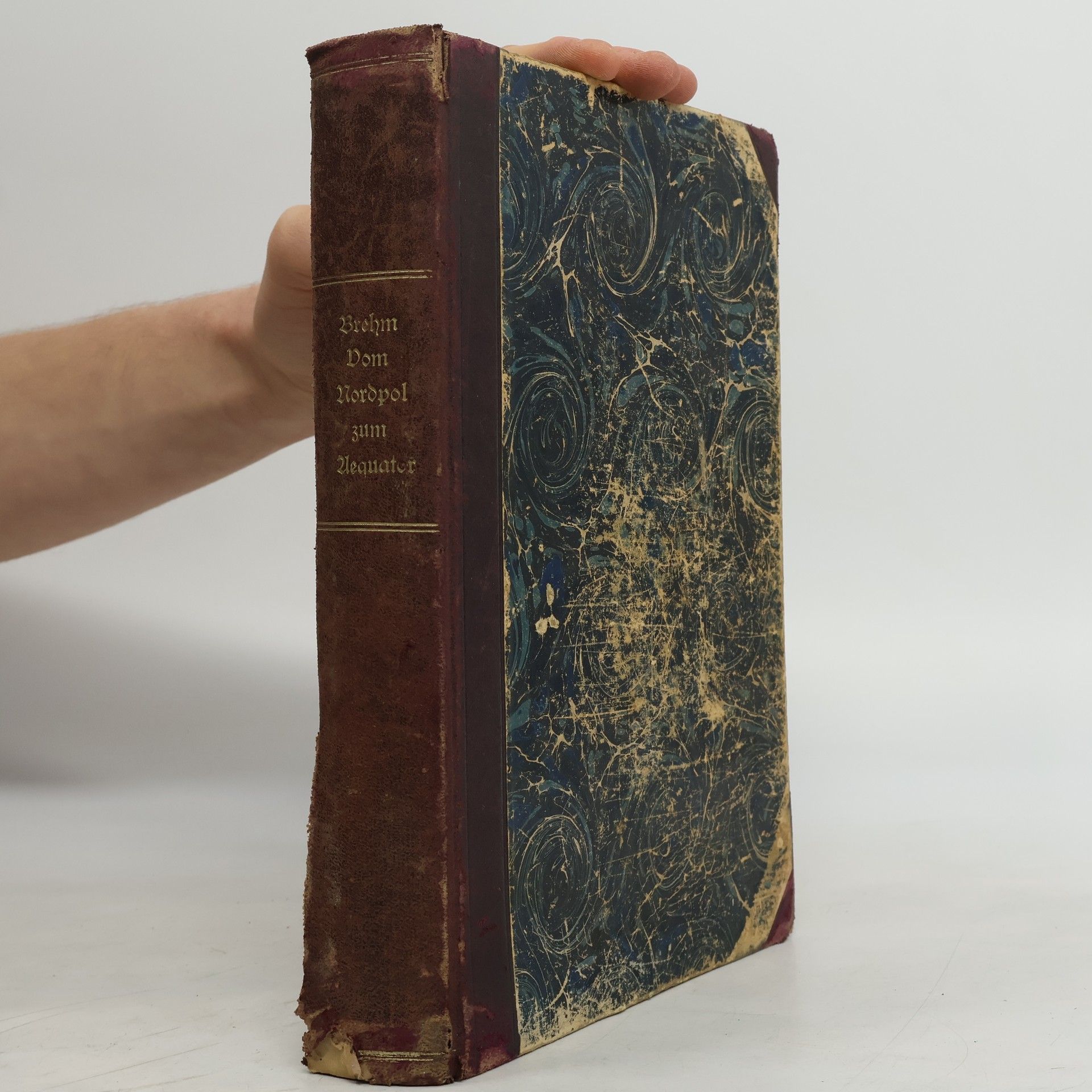 Alfred Edmund Brehm Vom Nordpol zum Äquator