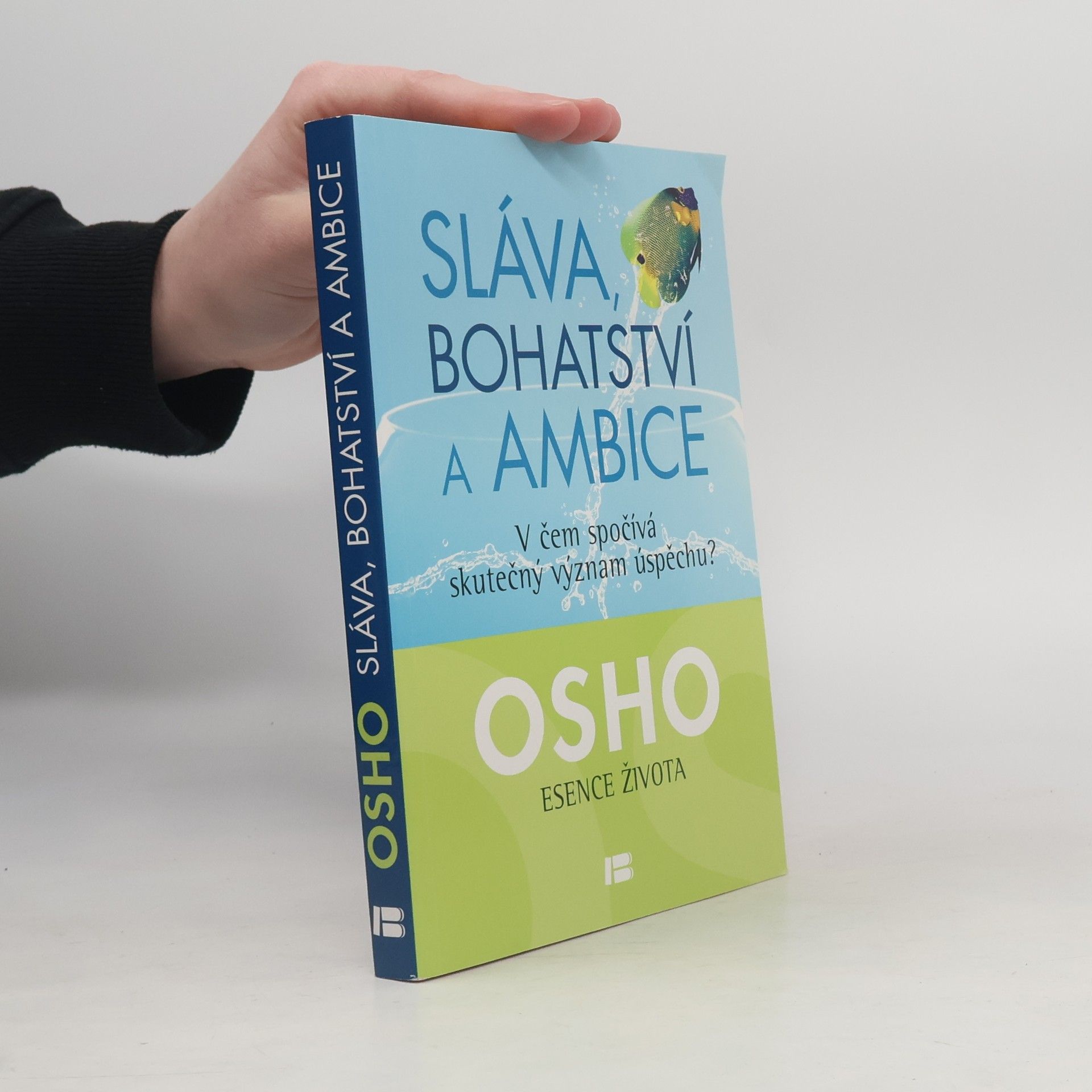 Ošó Sláva, bohatství a ambice : v čem spočívá skutečný význam úspěchu?