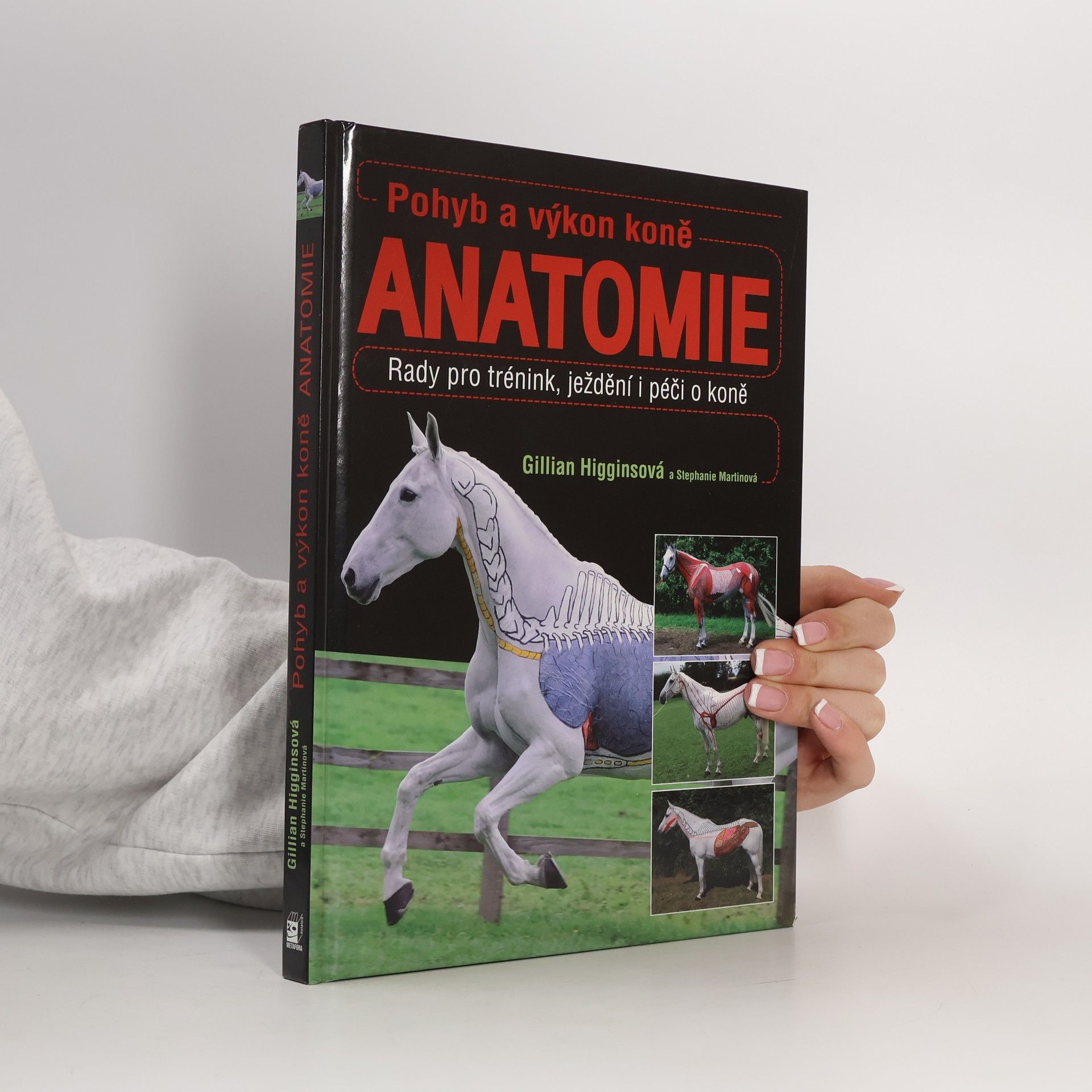 Gillian Higgins Pohyb a výkon koně. Anatomie