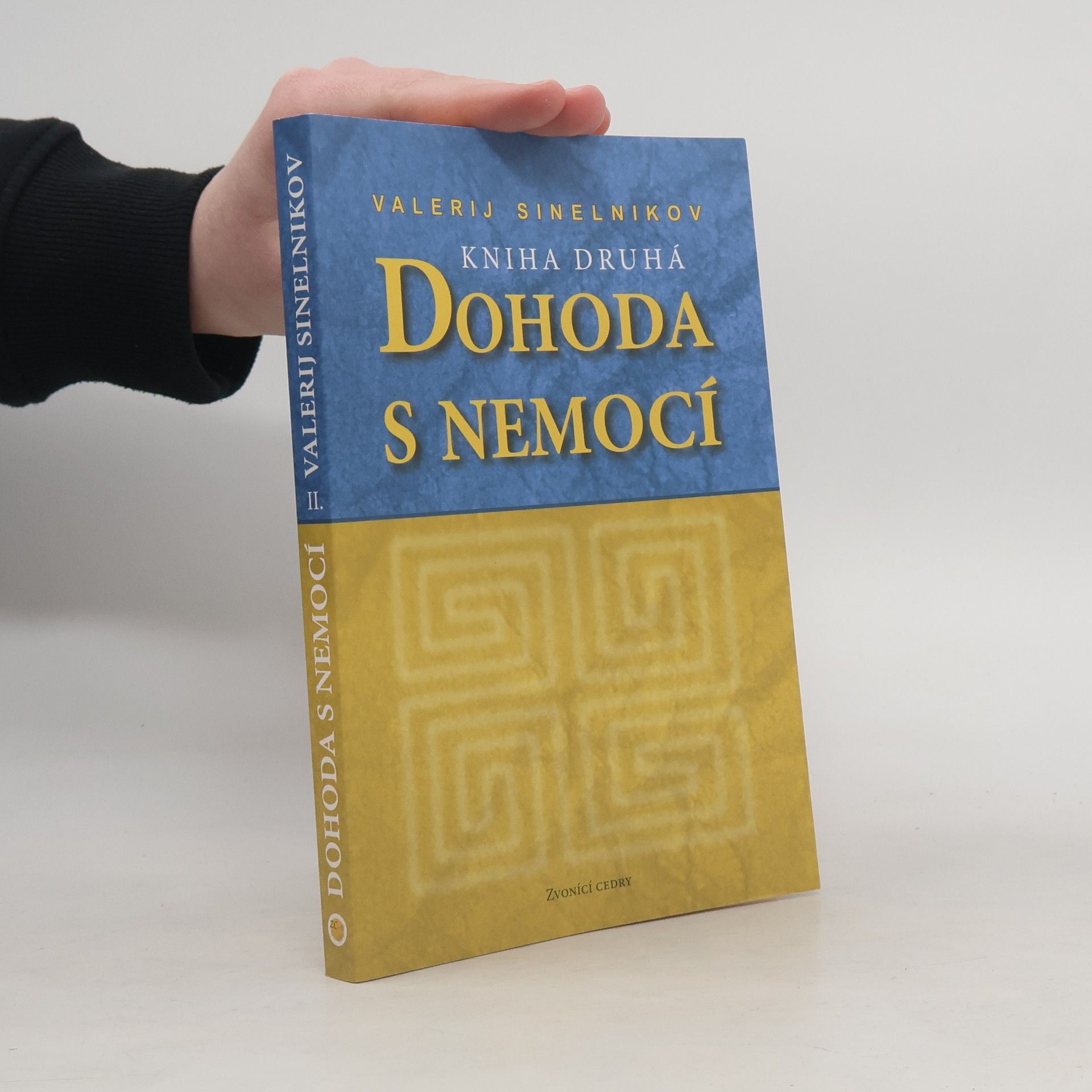 Valerij Vladimirovič Sinelnikov Dohoda s nemocí. Kniha druhá