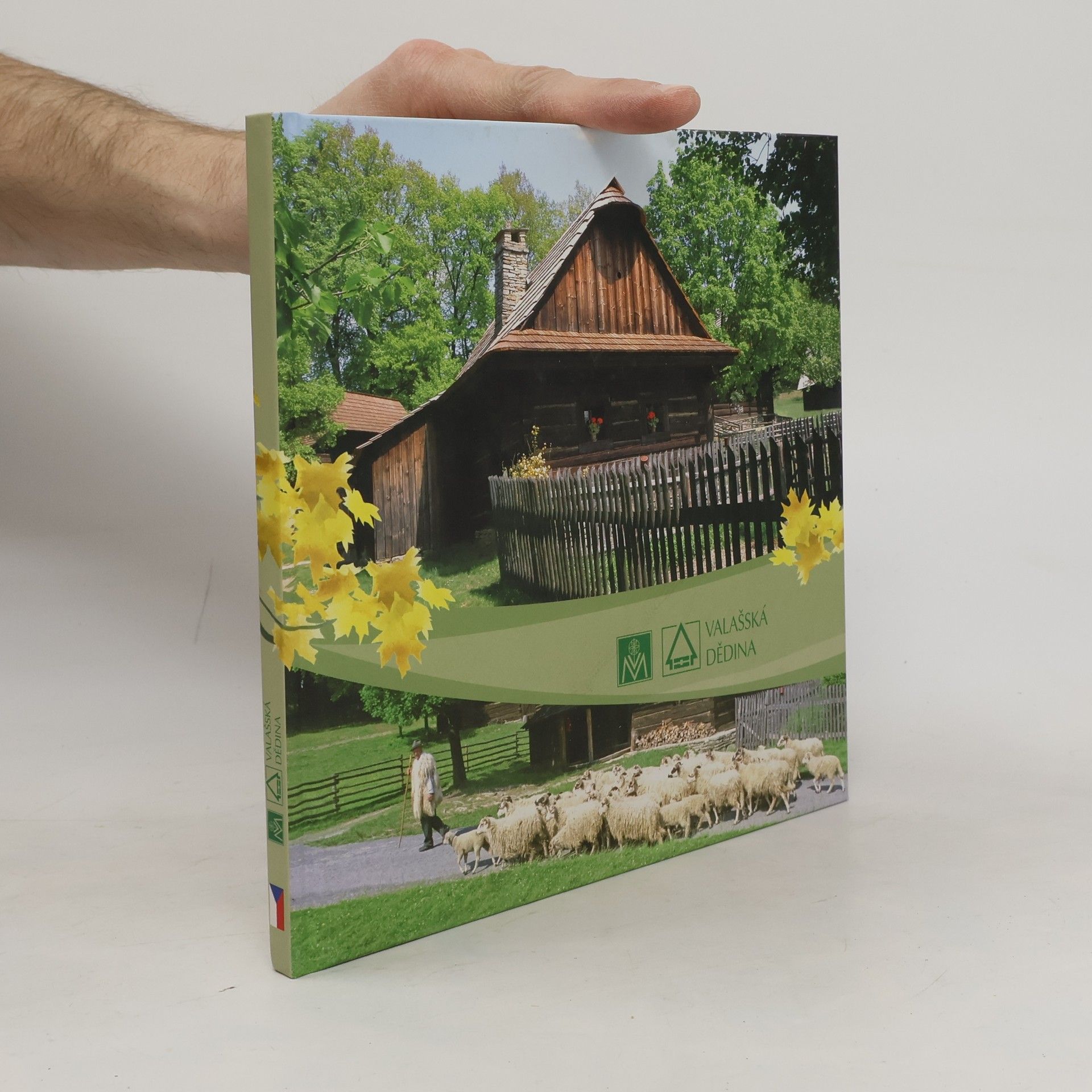 Various authors Valašská dědina